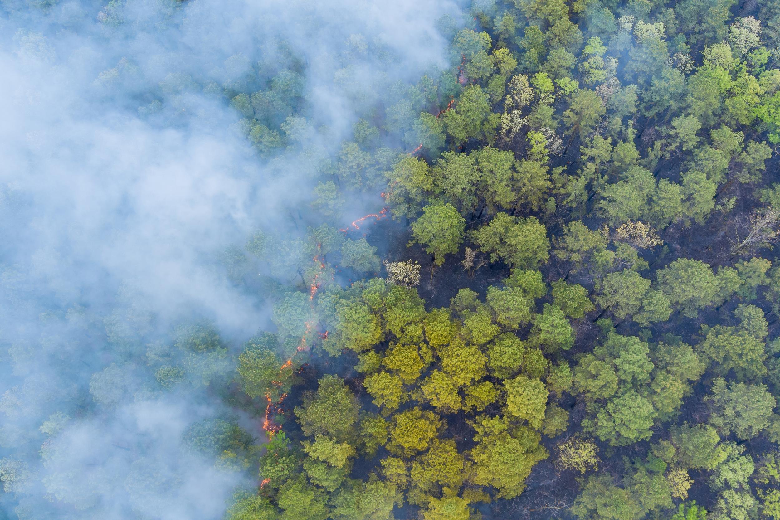 10 Jahre Laudato si’