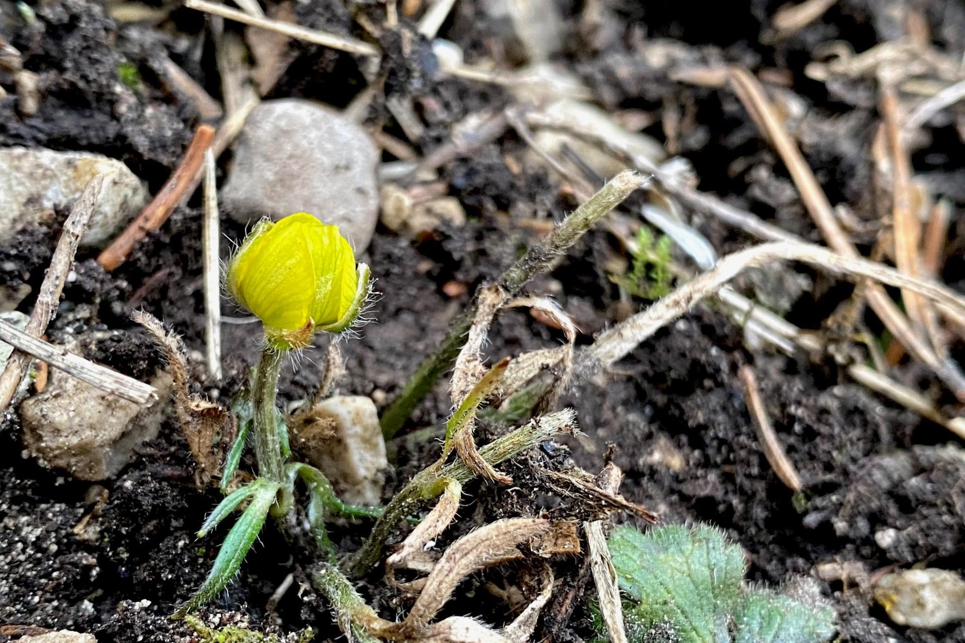 Fastenzeit: Neubeginn