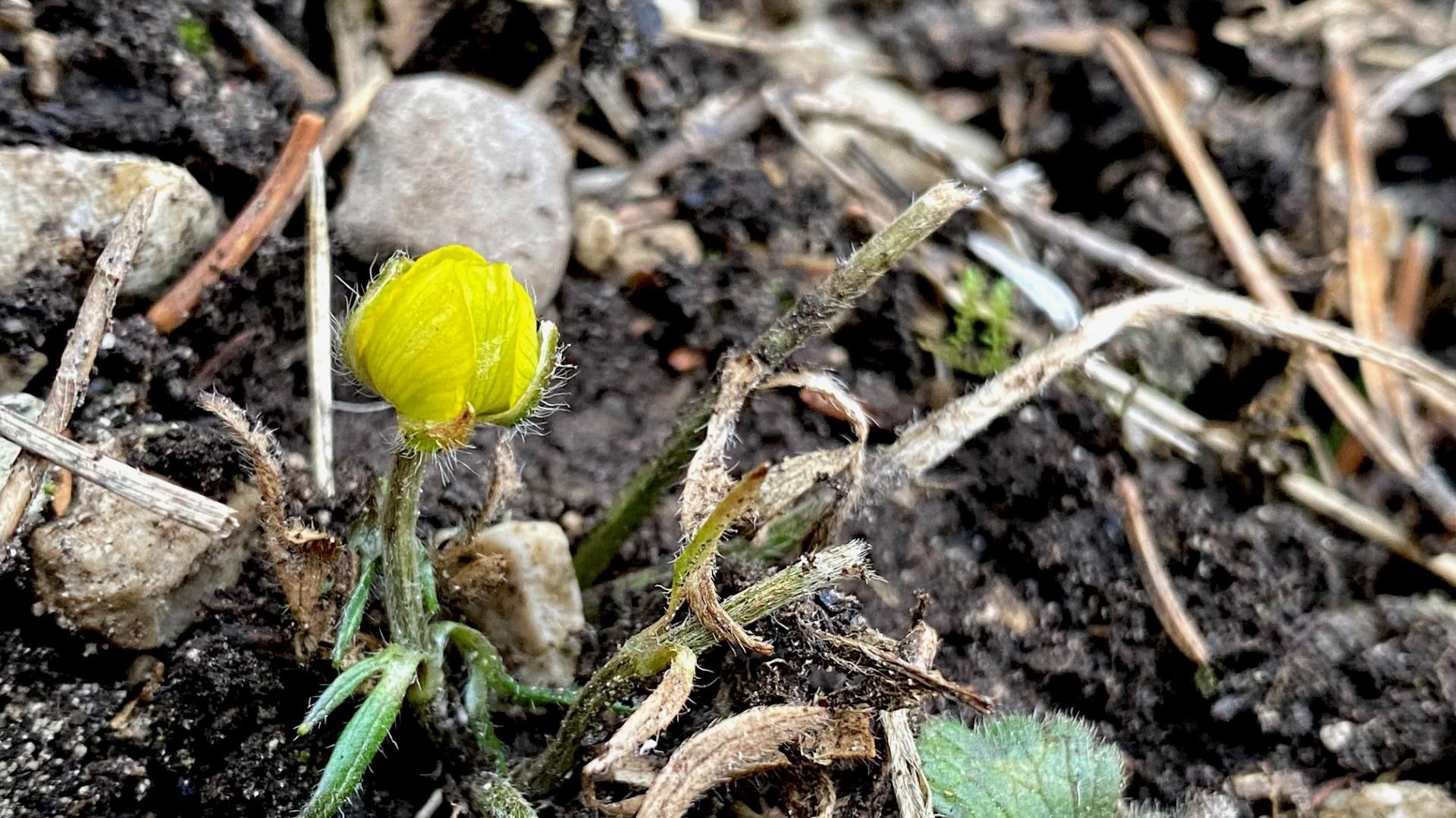 Fastenzeit: Neubeginn