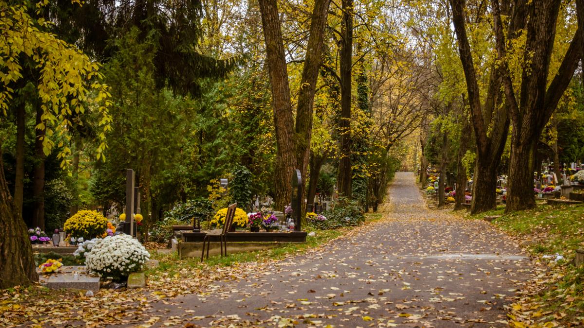 Herbstlicher Weg auf dem Friedhof