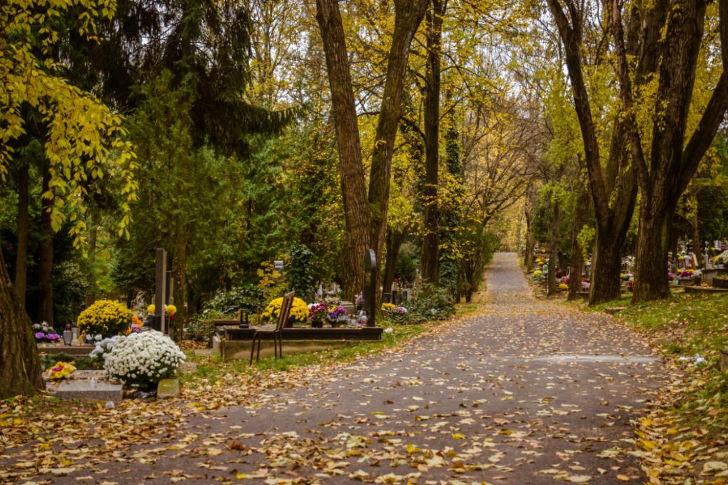 Herbstlicher Weg auf dem Friedhof