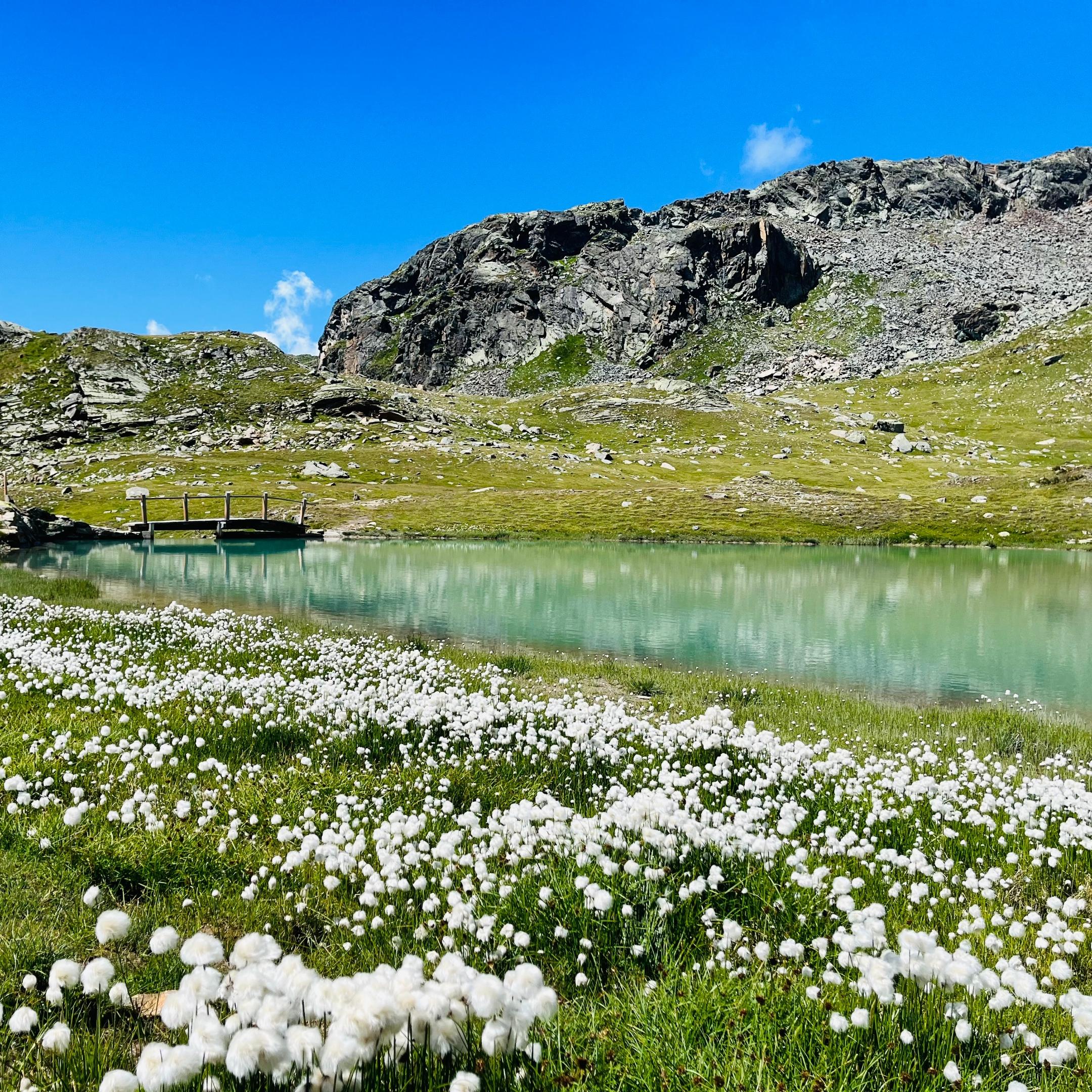Bergsee