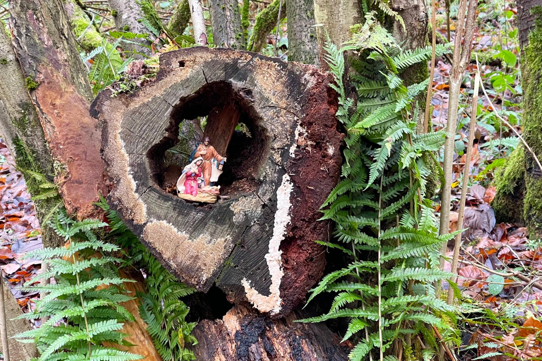 Krippe im Wald