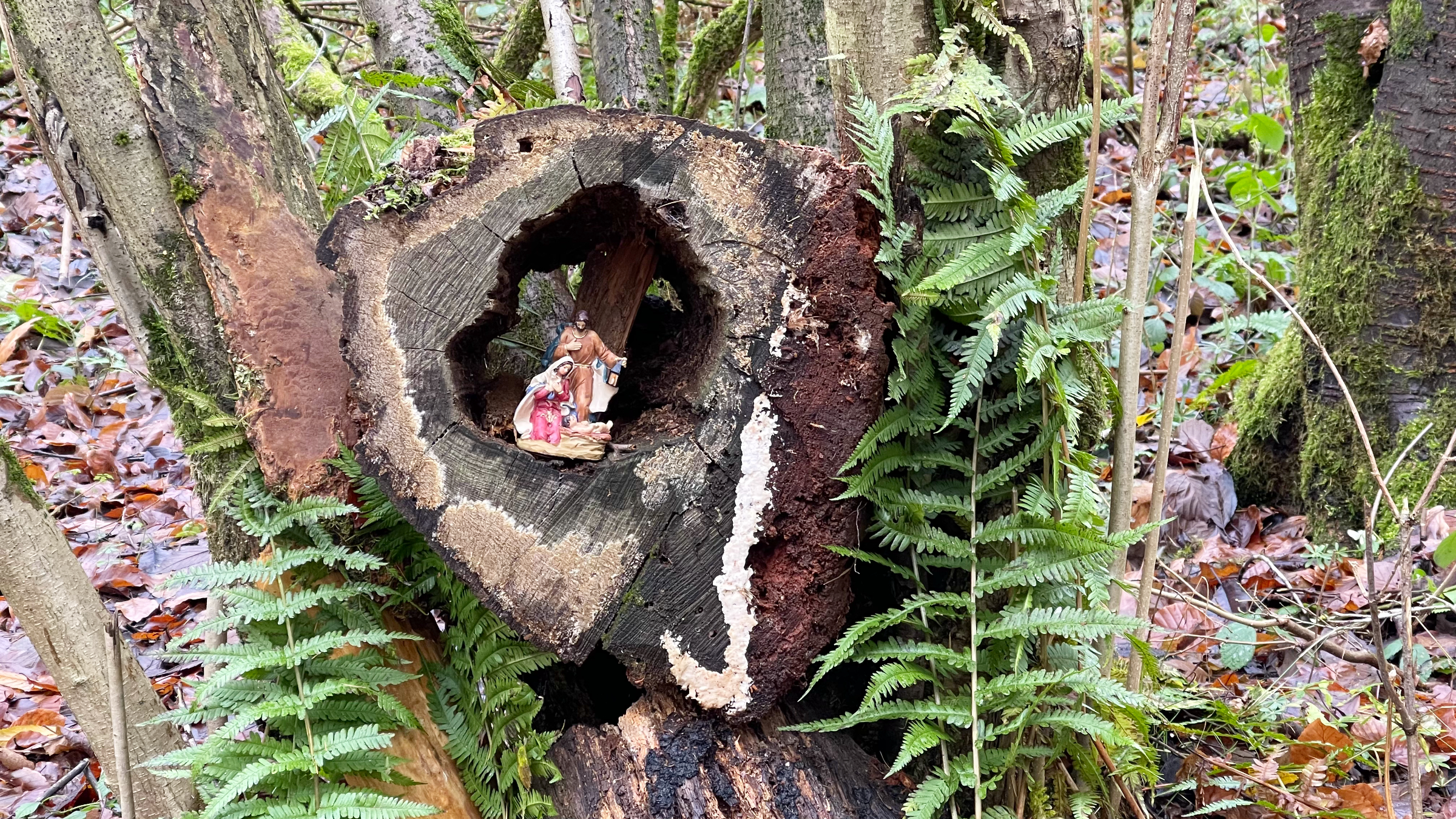 Krippe im Wald