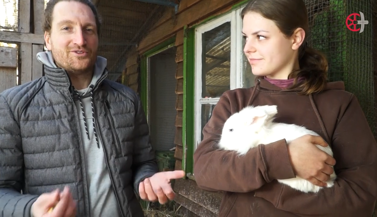 Was haben Hase, Lamm und Huhn mit Ostern zu tun? (c) Bistum Mainz | SHerget