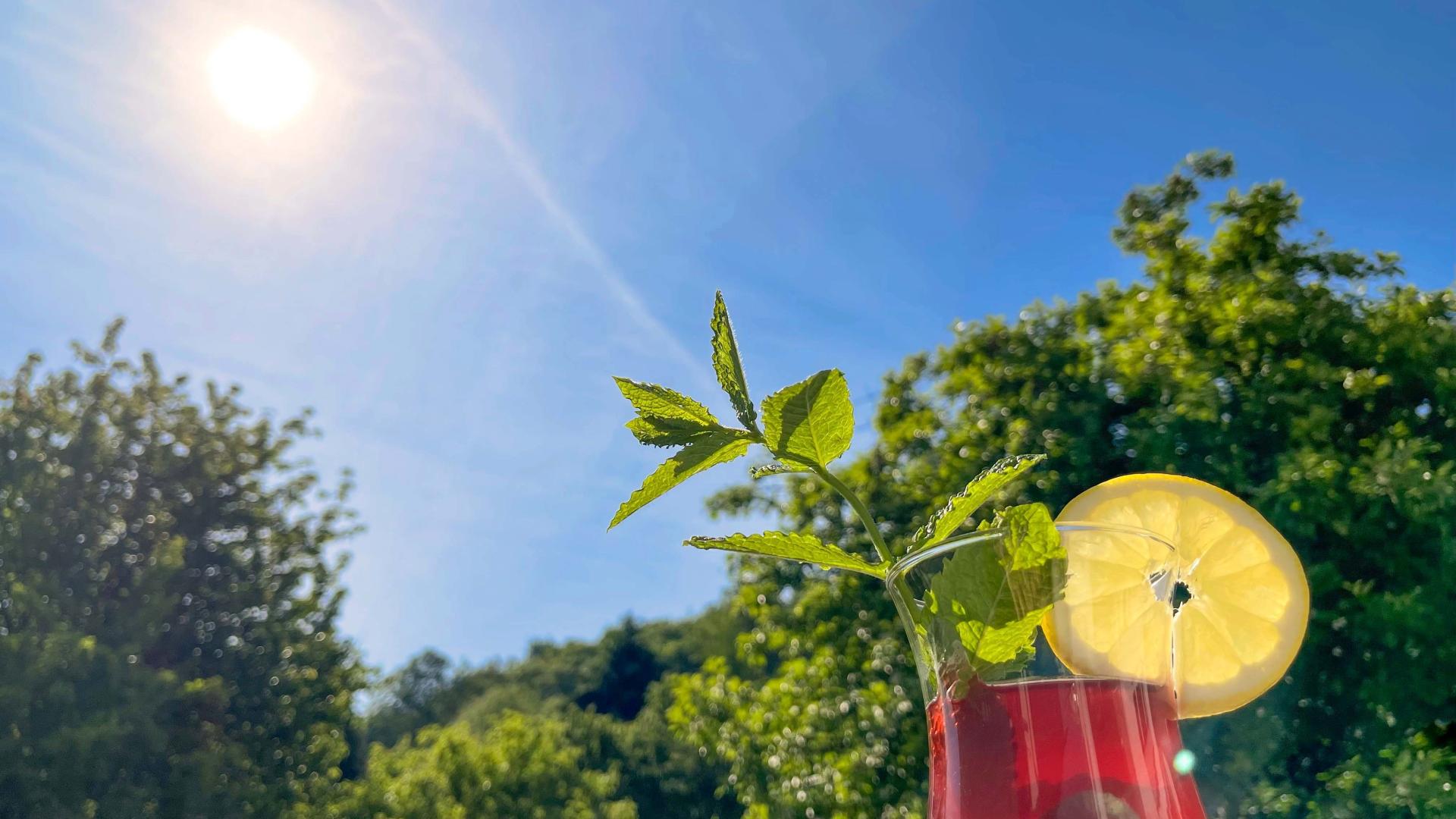 Sommer Sonne Genießen