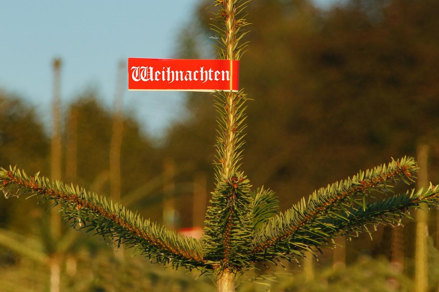 Ein unperfektes Fest? | Antenne Mainz 25.12.