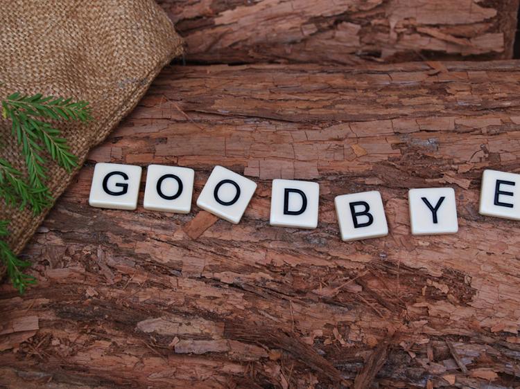 Good Bye