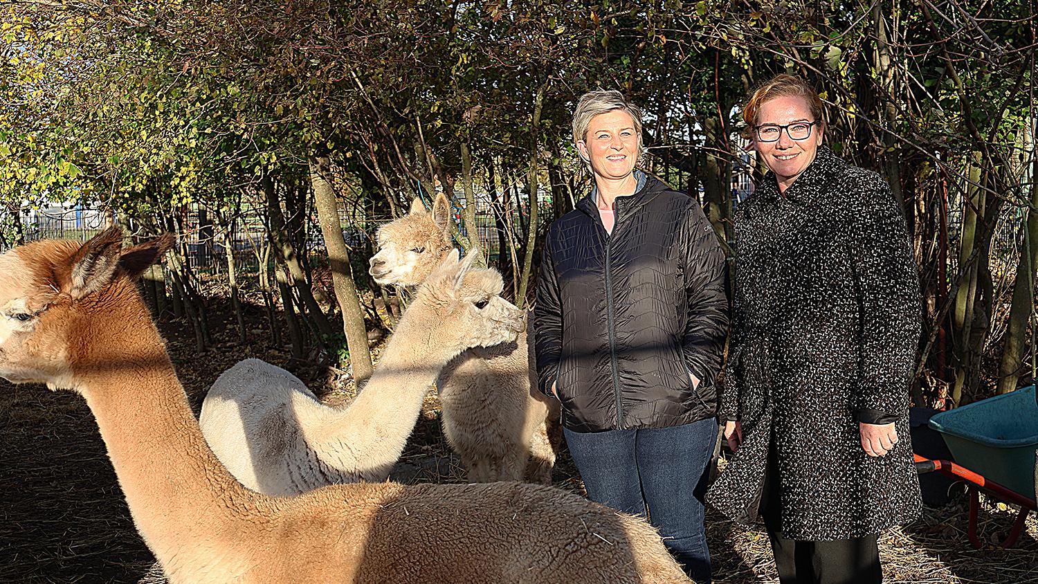In Mörstadt haben die Mieter viel Freiheit und  Unterstützung, einen Garten mit Hühnern und Alpacas (c) Anja Weiffen