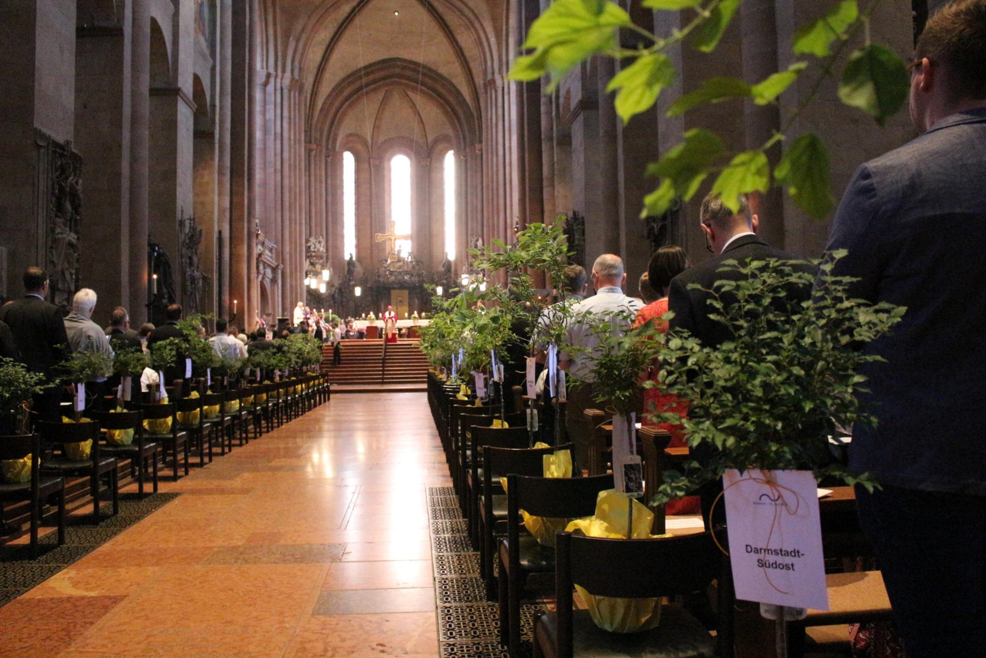 Mainz, 12. Juni 2022: Apfel- oder Kirchbäume erhielten die Vertreterinnen und Vertreter der 46 Pastoralräume im Abschlussgottesdienst. (c) Bistum Mainz / Blum