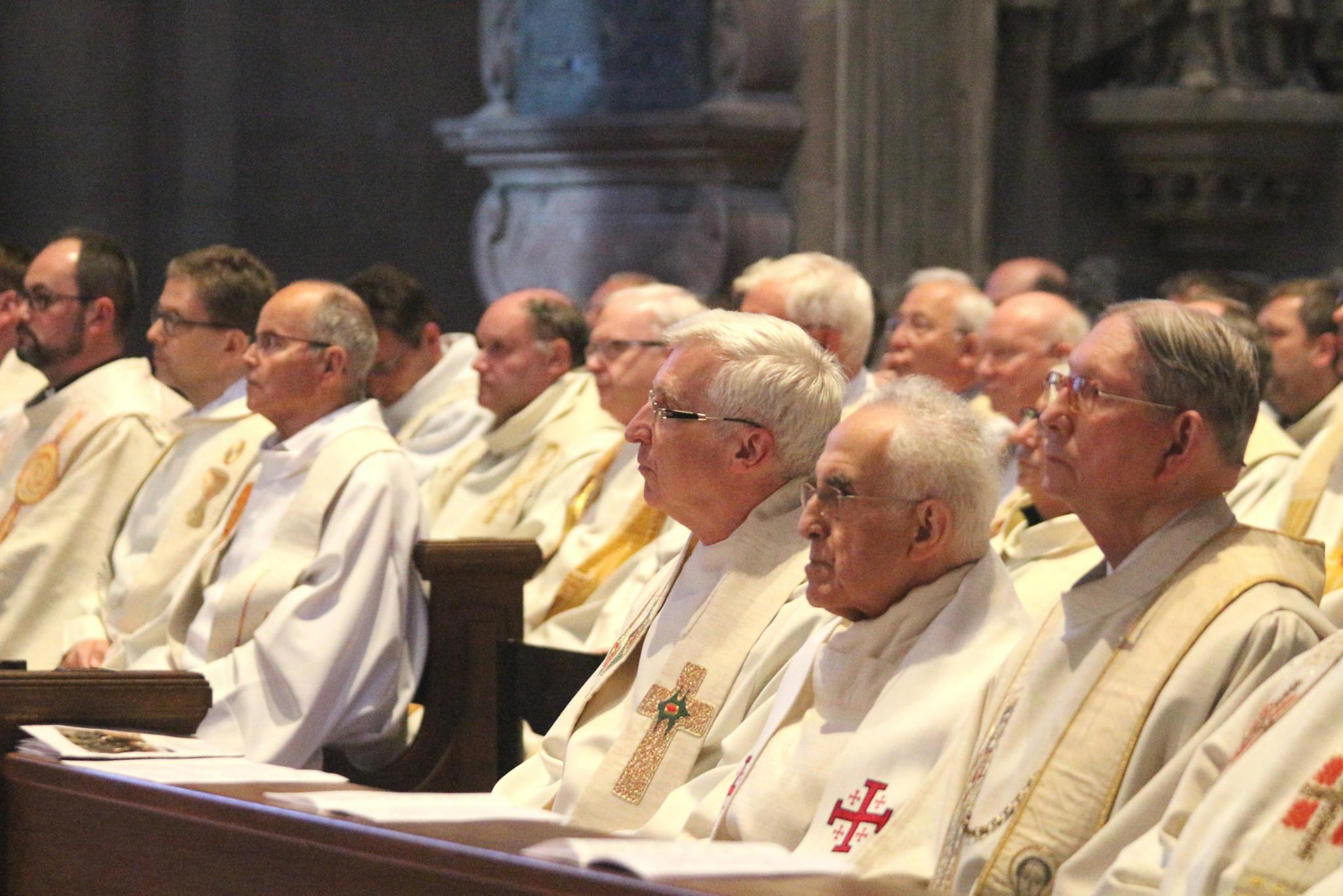 Mainz, 15. April 2019: Zu dem Begegnungstag der Geistlichen, der erstmals im Rahmen der Missa chrismatis stattfand, waren rund 210 Priester und Diakone aus dem ganzen Bistum gekommen.