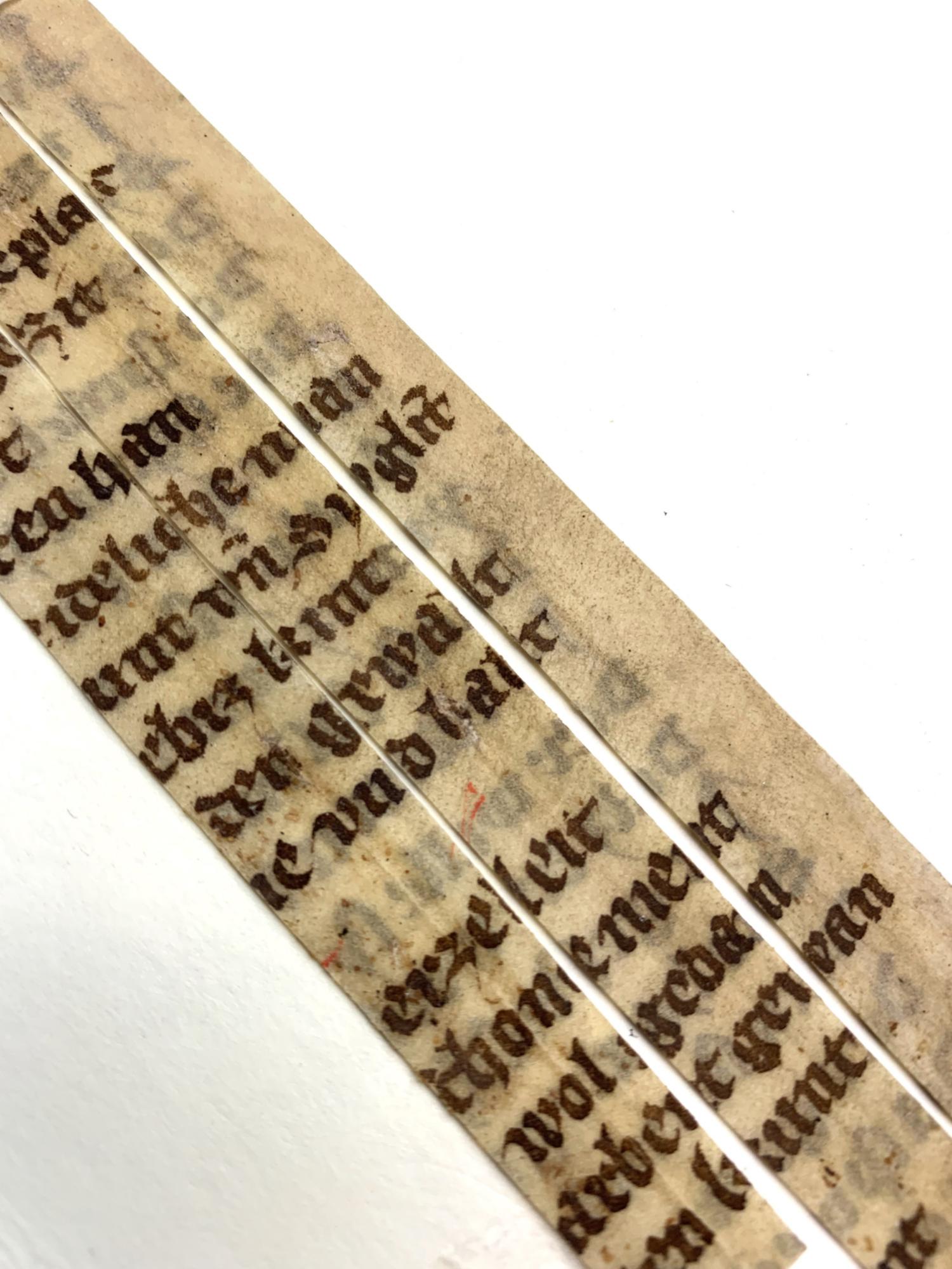 Handschriftliche Textfragmente des Nibelungenliedes (Mitte 14. Jh.) auf Pergamentstreifen (c) Bistum Mainz/Martinus-Bibliothek