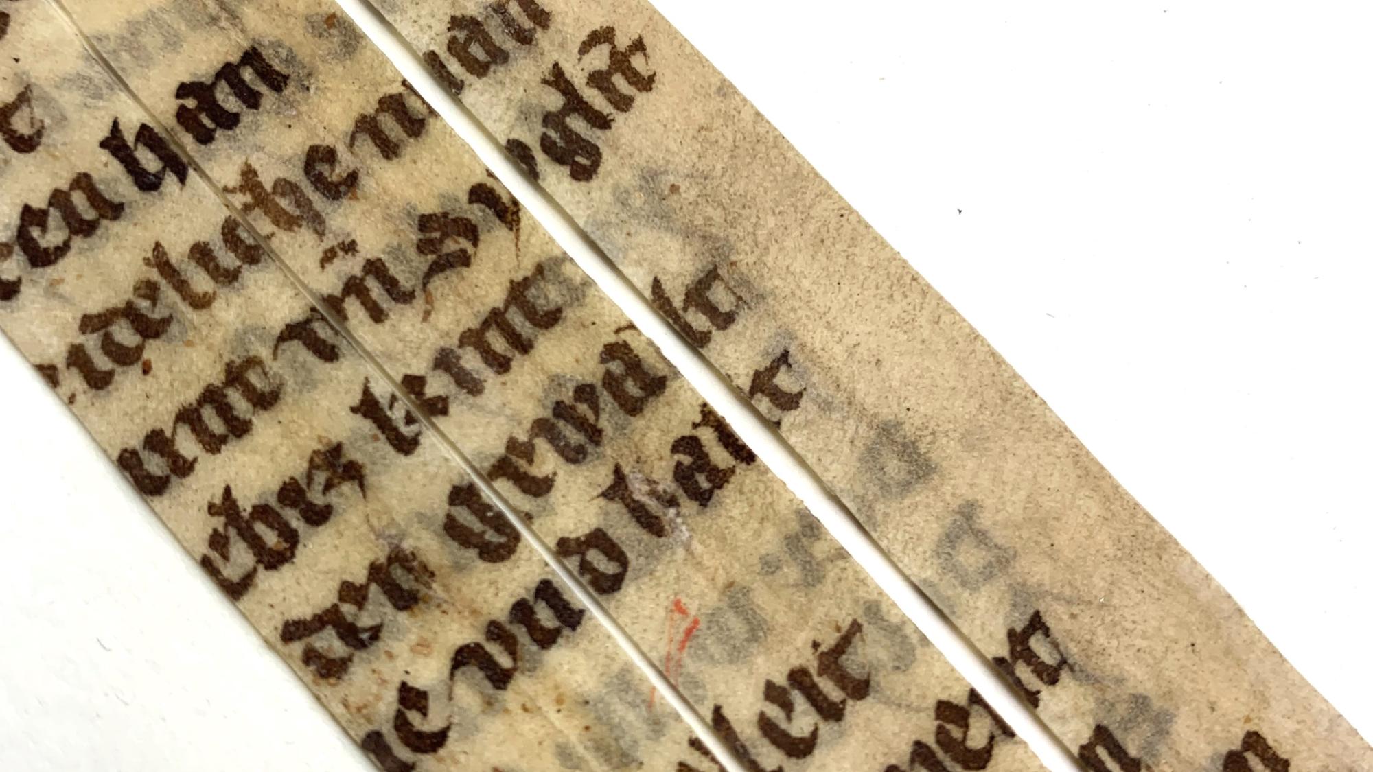 Handschriftliche Textfragmente des Nibelungenliedes (Mitte 14. Jh.) auf Pergamentstreifen