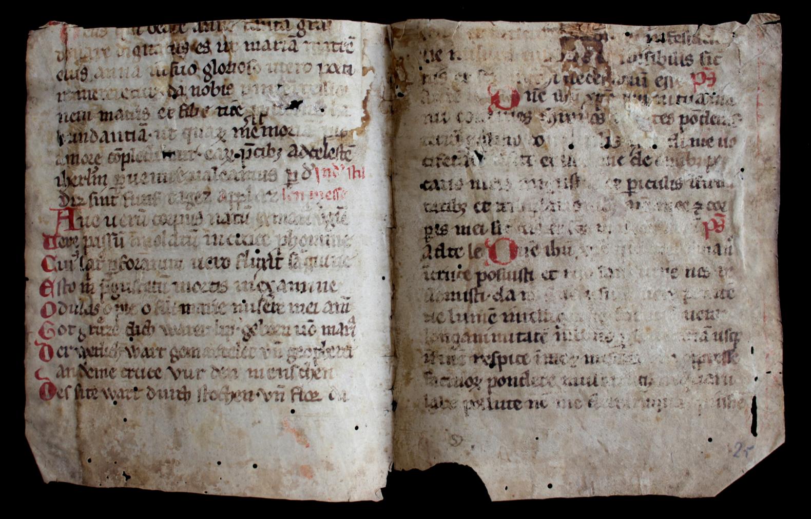 Das in der Martinus-Bibliothek entdeckte handschriftliche Pergamentfragment aus dem 13. Jahrhundert enthält den lateinischen und den deutschen, wohl rheinfränkischen Text des „Ave verum“. (c) Martinus-Bibliothek