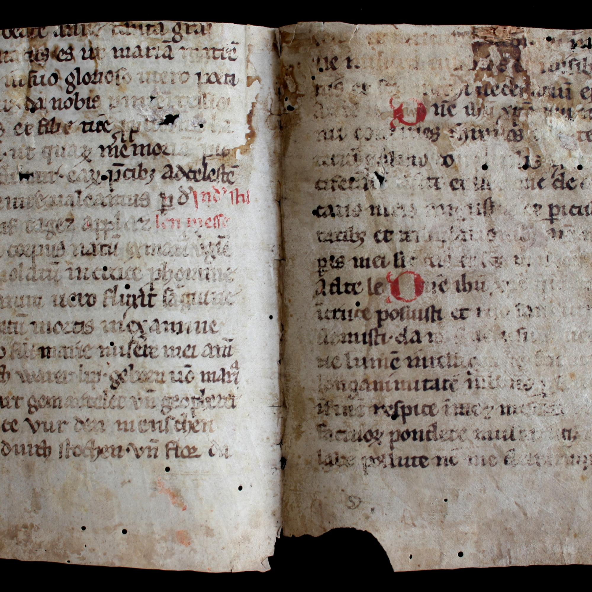 Das in der Martinus-Bibliothek entdeckte handschriftliche Pergamentfragment aus dem 13. Jahrhundert enthält den lateinischen und den deutschen, wohl rheinfränkischen Text des „Ave verum“.
