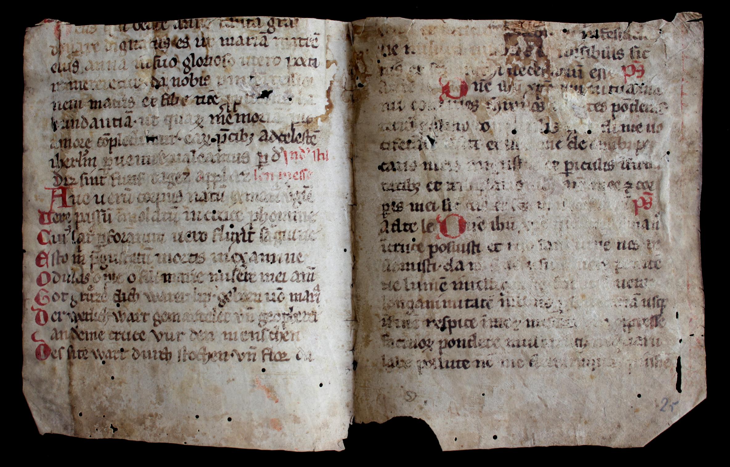 Das in der Martinus-Bibliothek entdeckte handschriftliche Pergamentfragment aus dem 13. Jahrhundert enthält den lateinischen und den deutschen, wohl rheinfränkischen Text des „Ave verum“.