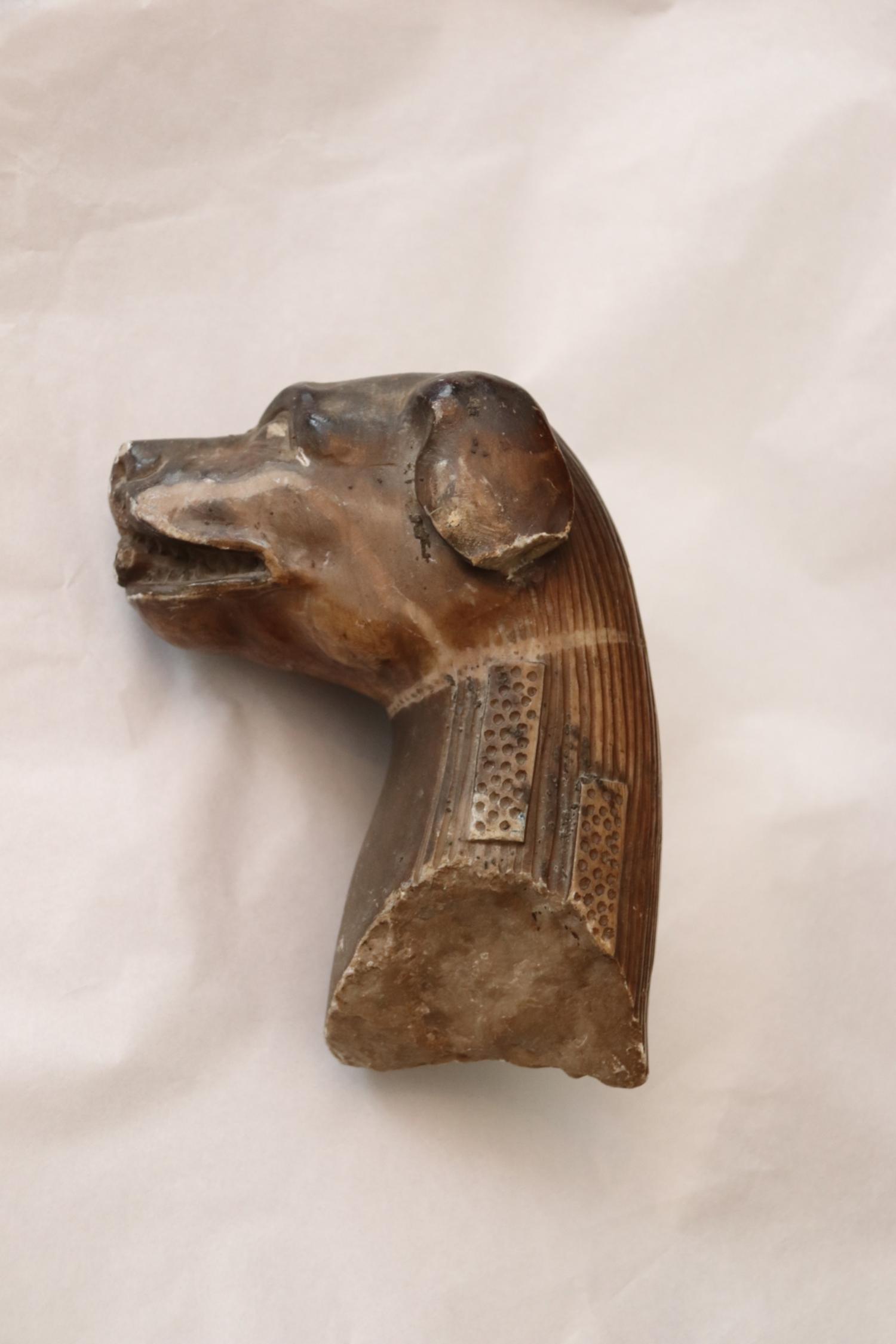Hundekopf aus Kroatien, ursprünglich aus dem Schutt der Nachkriegszeit am Mainzer Dom (c) Bistum Mainz/Hoffmann