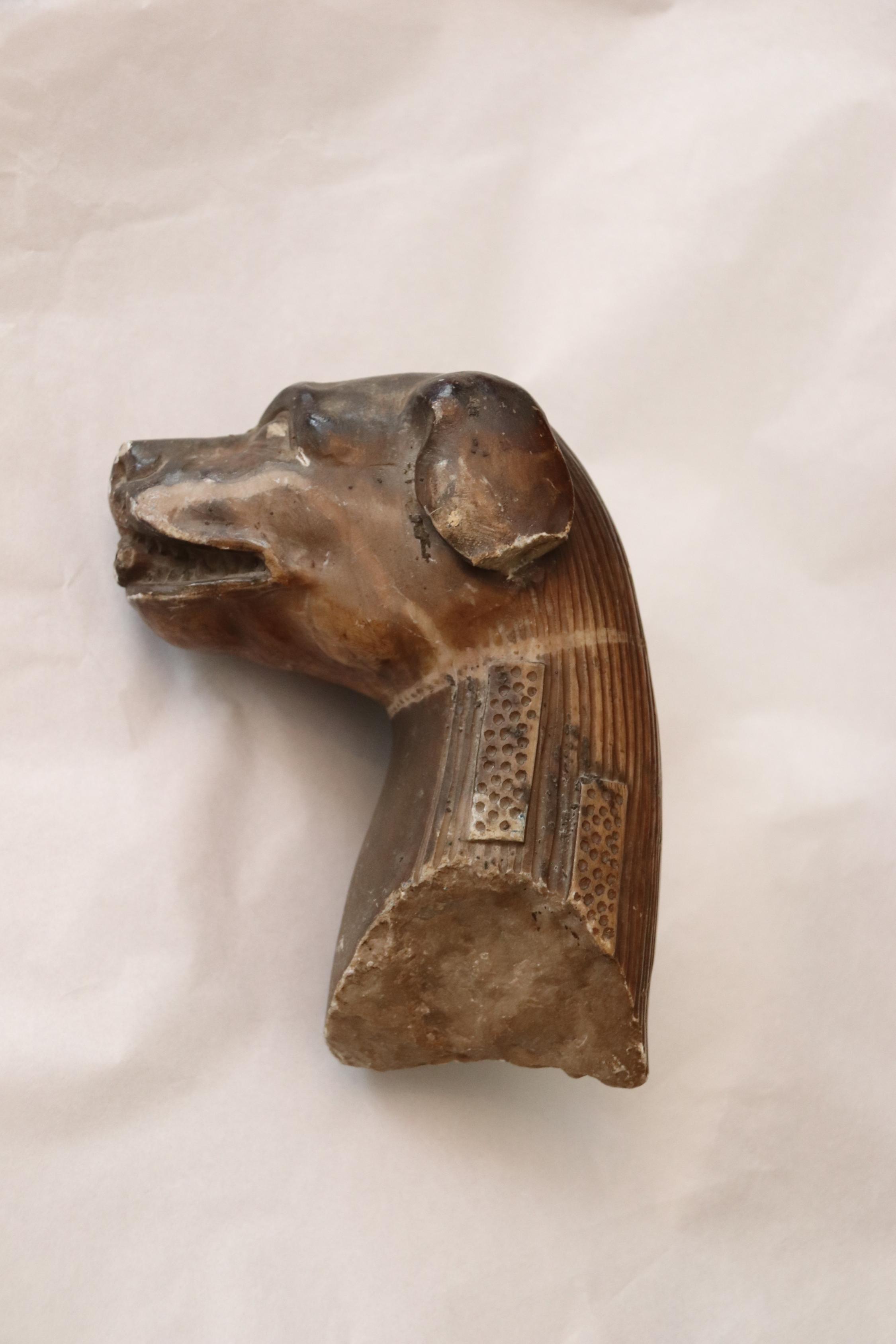 Hundekopf aus Kroatien, ursprünglich aus dem Schutt der Nachkriegszeit am Mainzer Dom