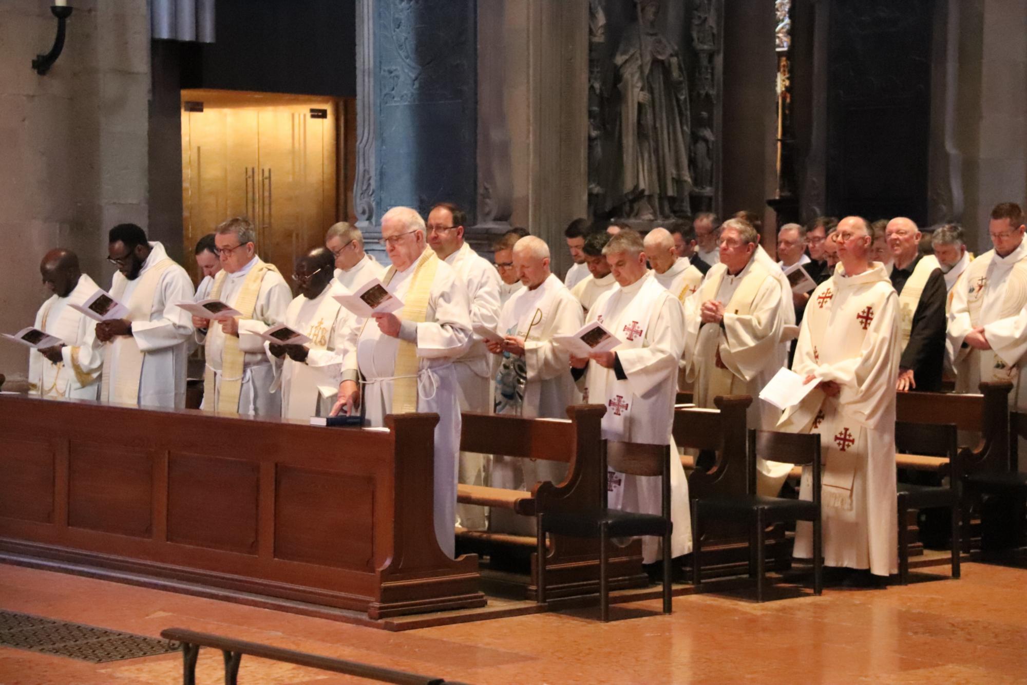 Konzelebrierende Priester in der Missa Chrismatis (c) Bistum Mainz/Hoffmann