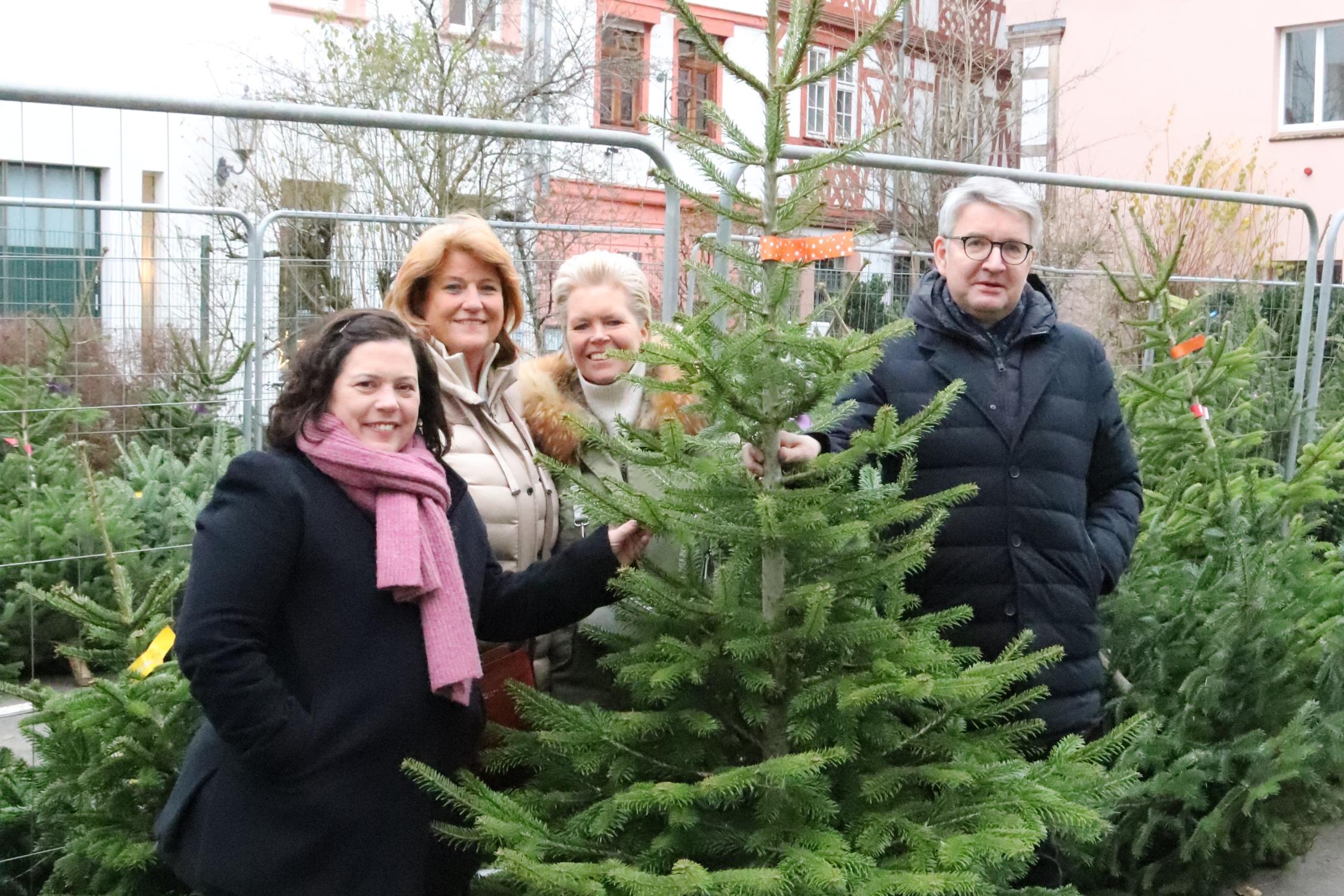 Weihnachtsbaumverkauf im Bischöflichen Ordinariat Mainz zugunsten des Mainzer Dombauvereins