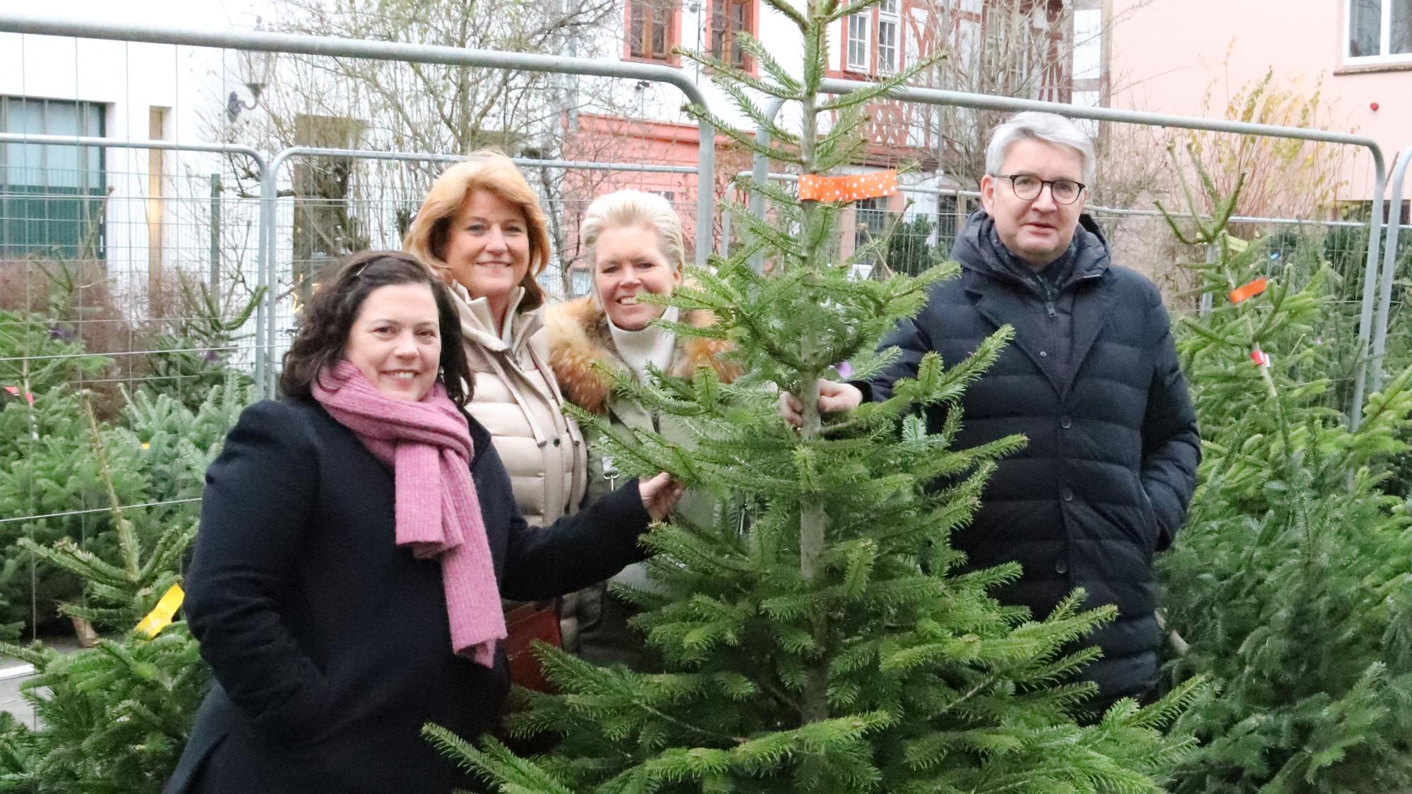 Weihnachtsbaumverkauf im Bischöflichen Ordinariat Mainz zugunsten des Mainzer Dombauvereins