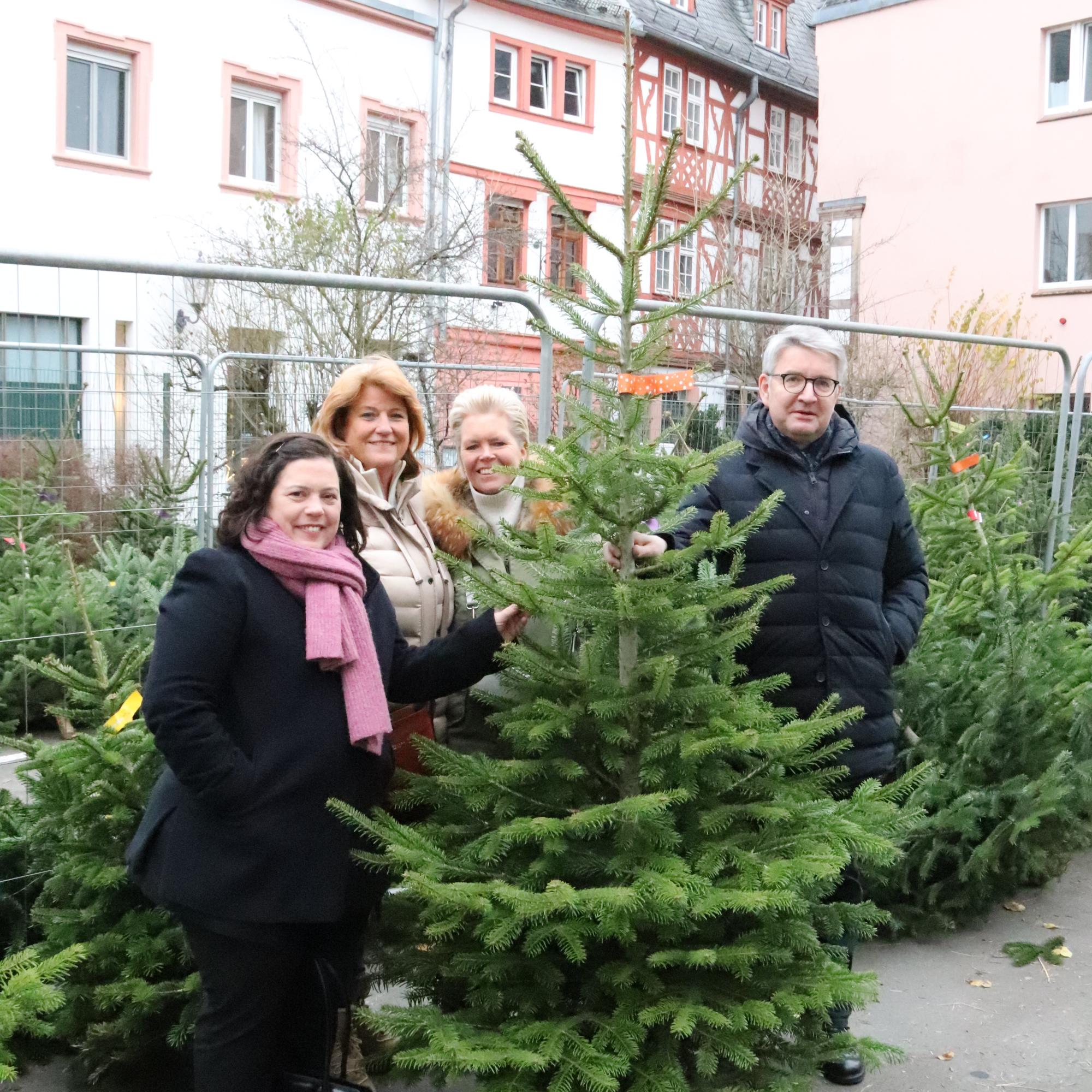 Weihnachtsbaumverkauf im Bischöflichen Ordinariat Mainz zugunsten des Mainzer Dombauvereins