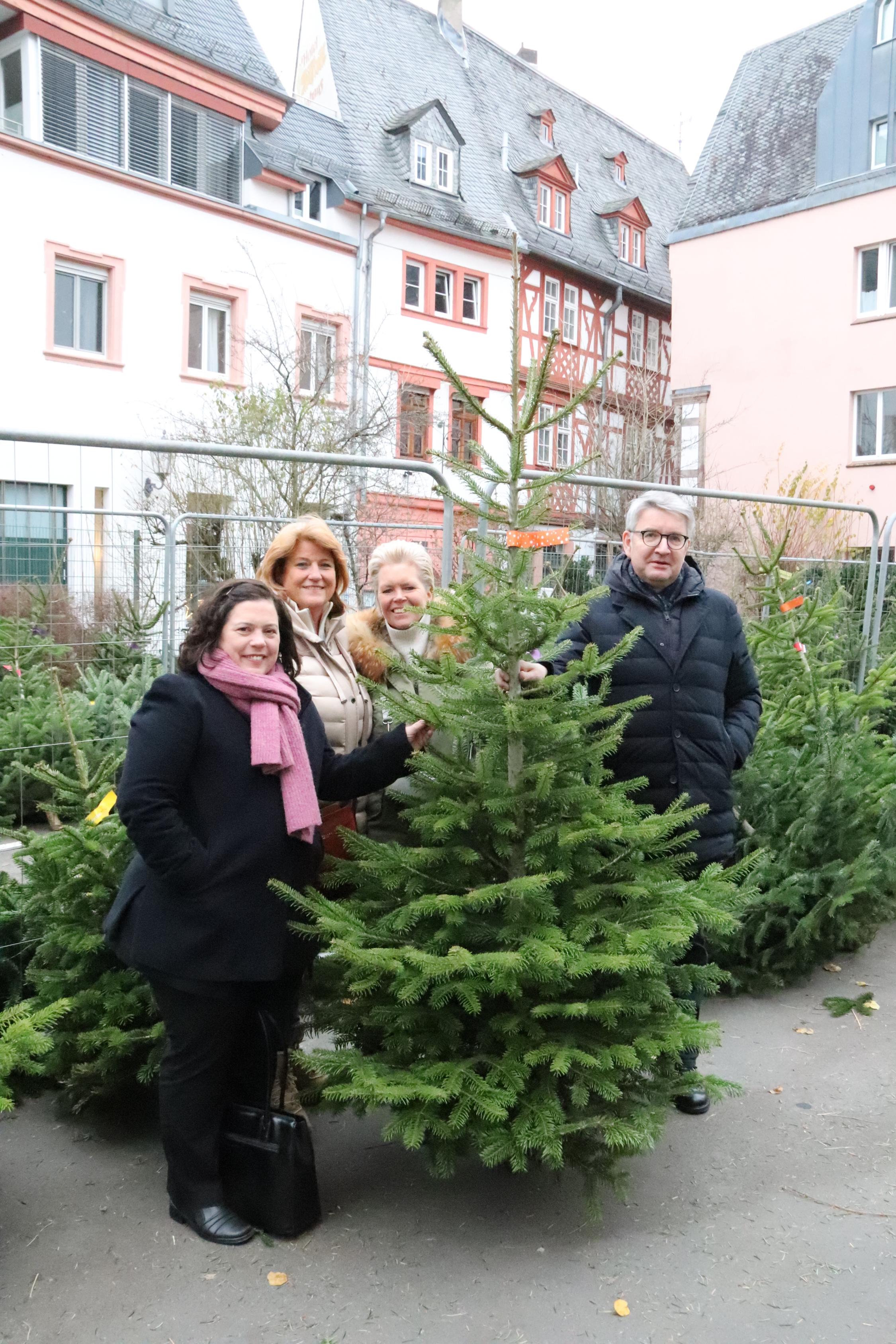 Weihnachtsbaumverkauf im Bischöflichen Ordinariat Mainz zugunsten des Mainzer Dombauvereins