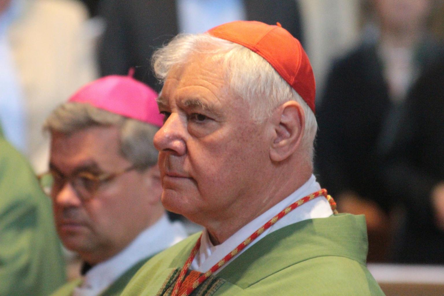 Kardinal Müller (c) Bistum Mainz / Blum