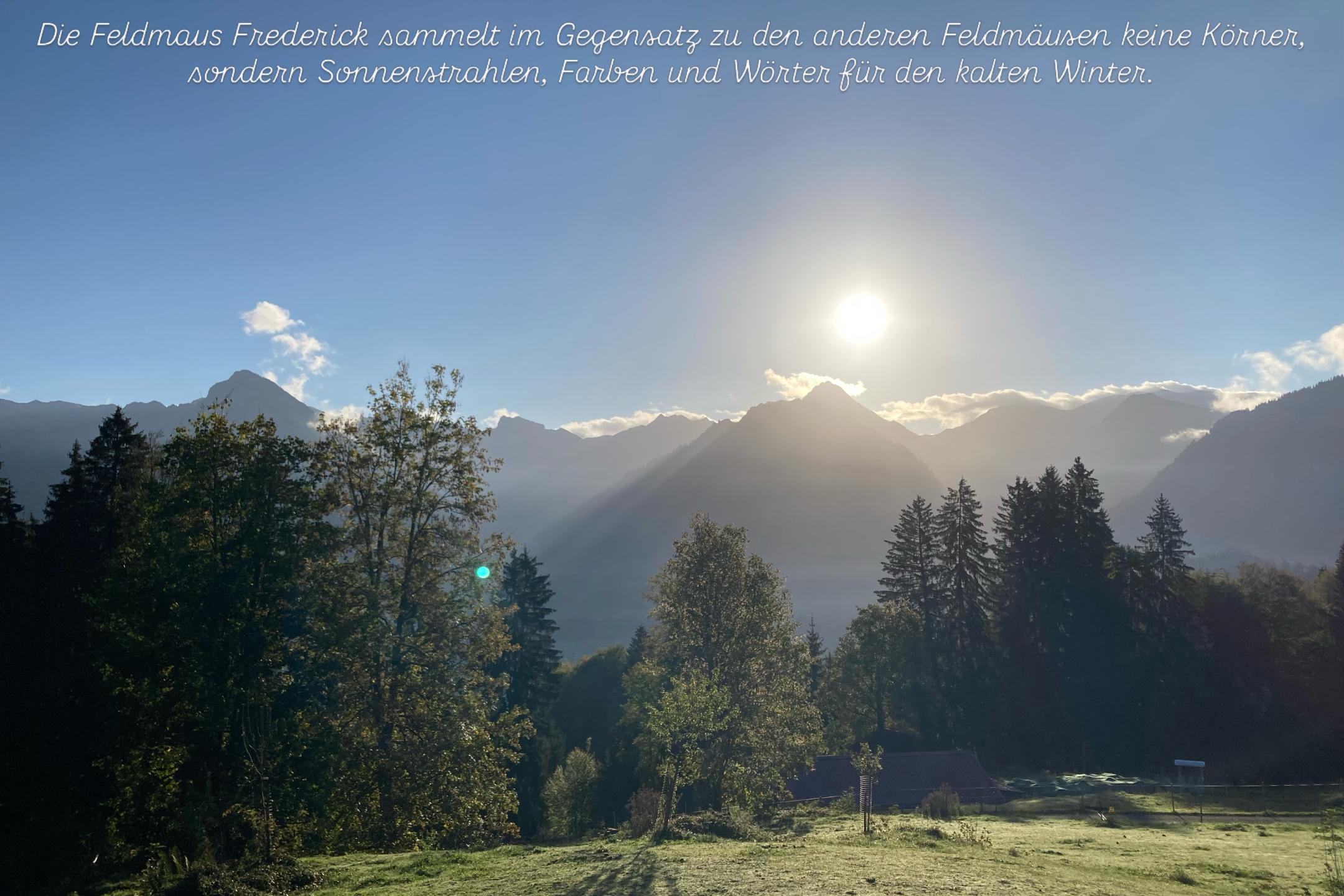 Die Feldmaus