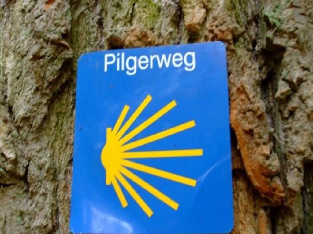 Das Wegzeichen des Jakobswegs, die Jakobsmuschel, an einem Baum
