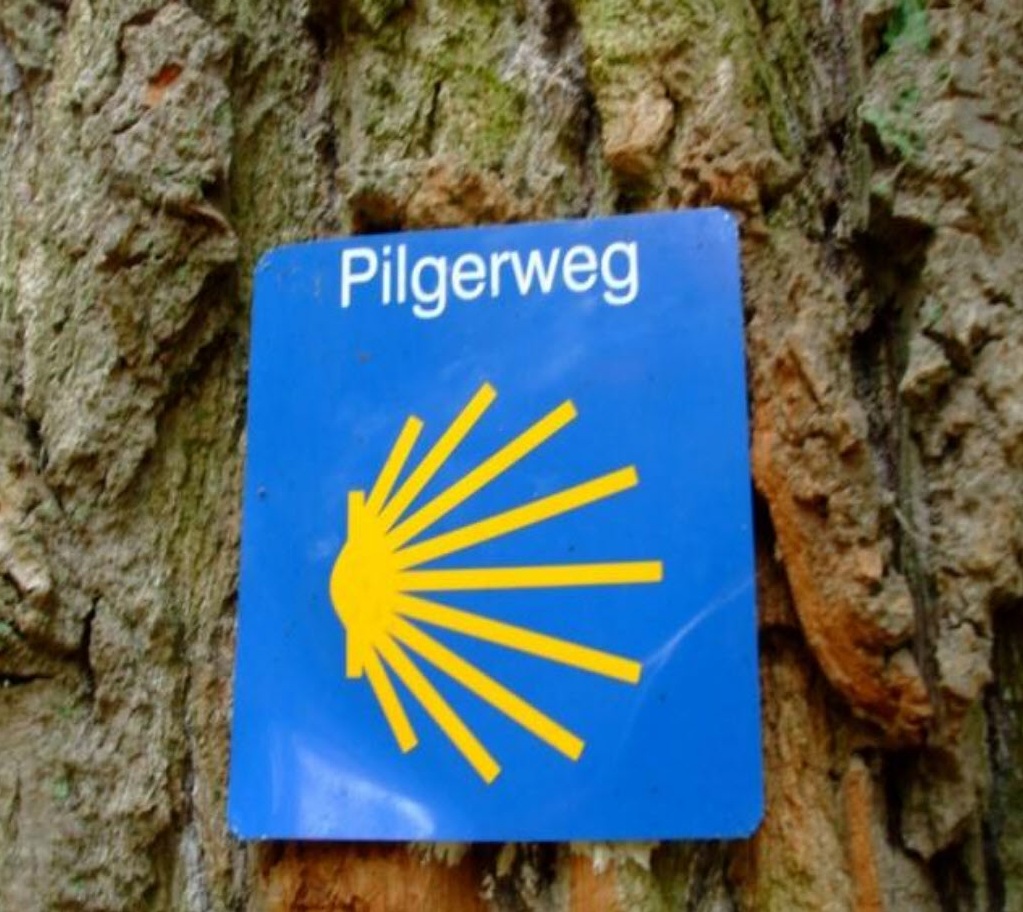 Das Wegzeichen des Jakobswegs, die Jakobsmuschel, an einem Baum