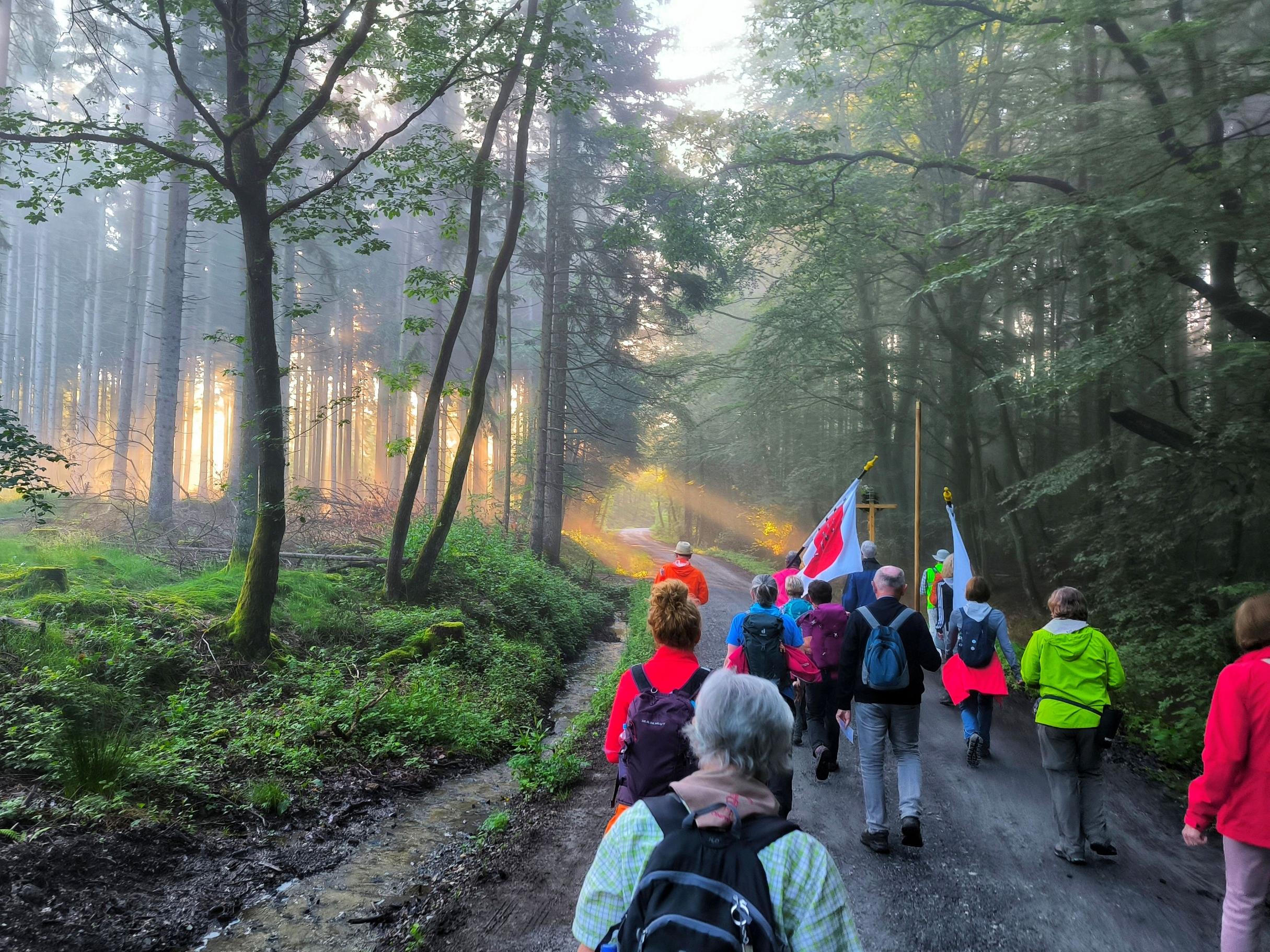 Wallfahrt nach Walldürn