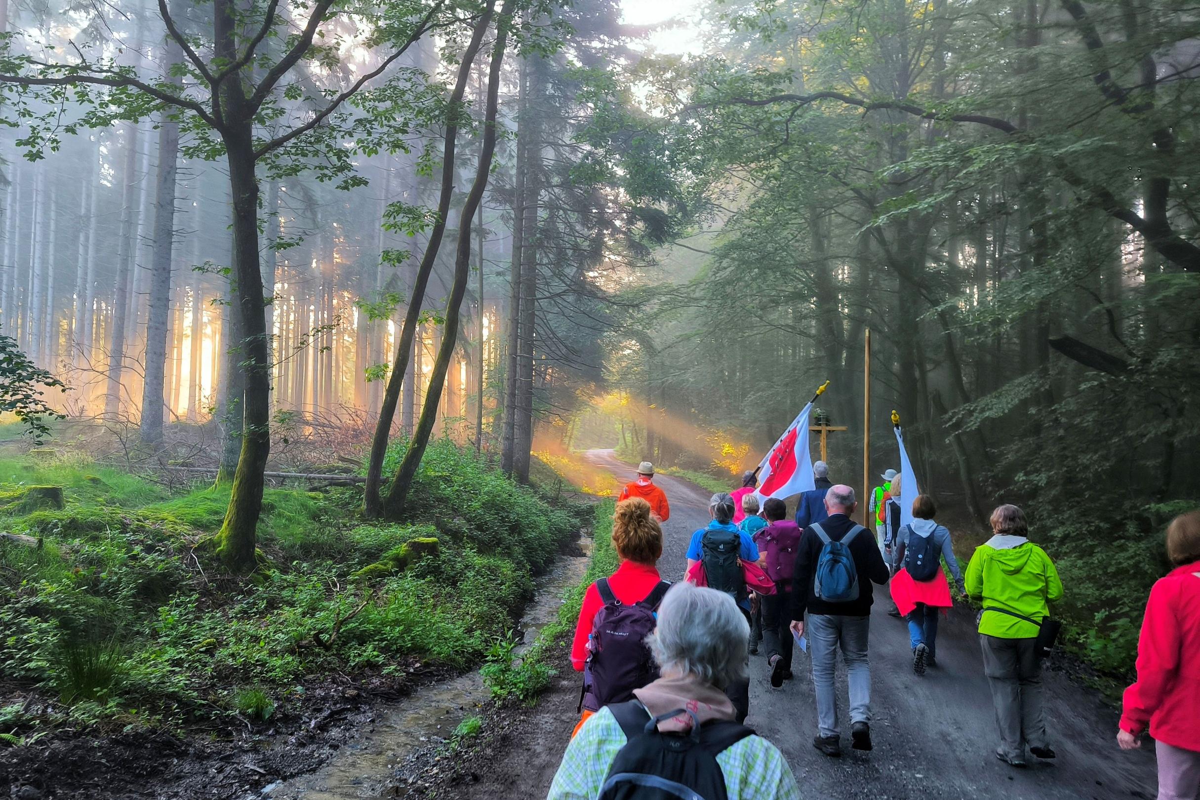 Wallfahrt nach Walldürn
