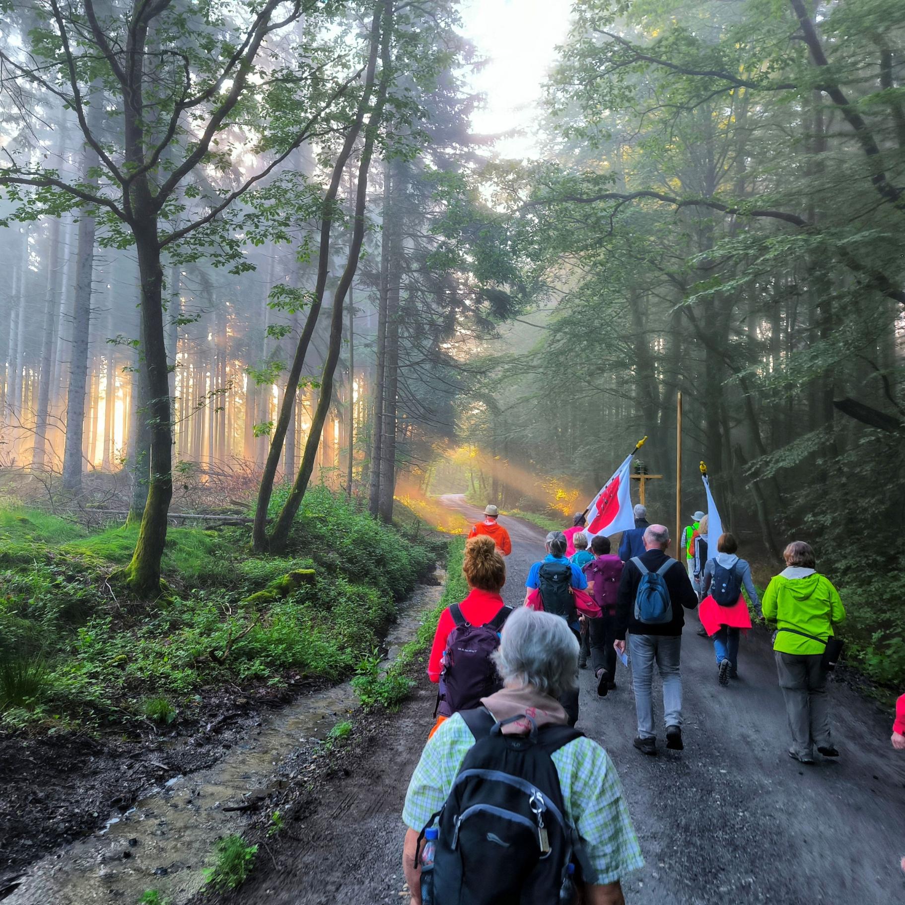 Wallfahrt nach Walldürn