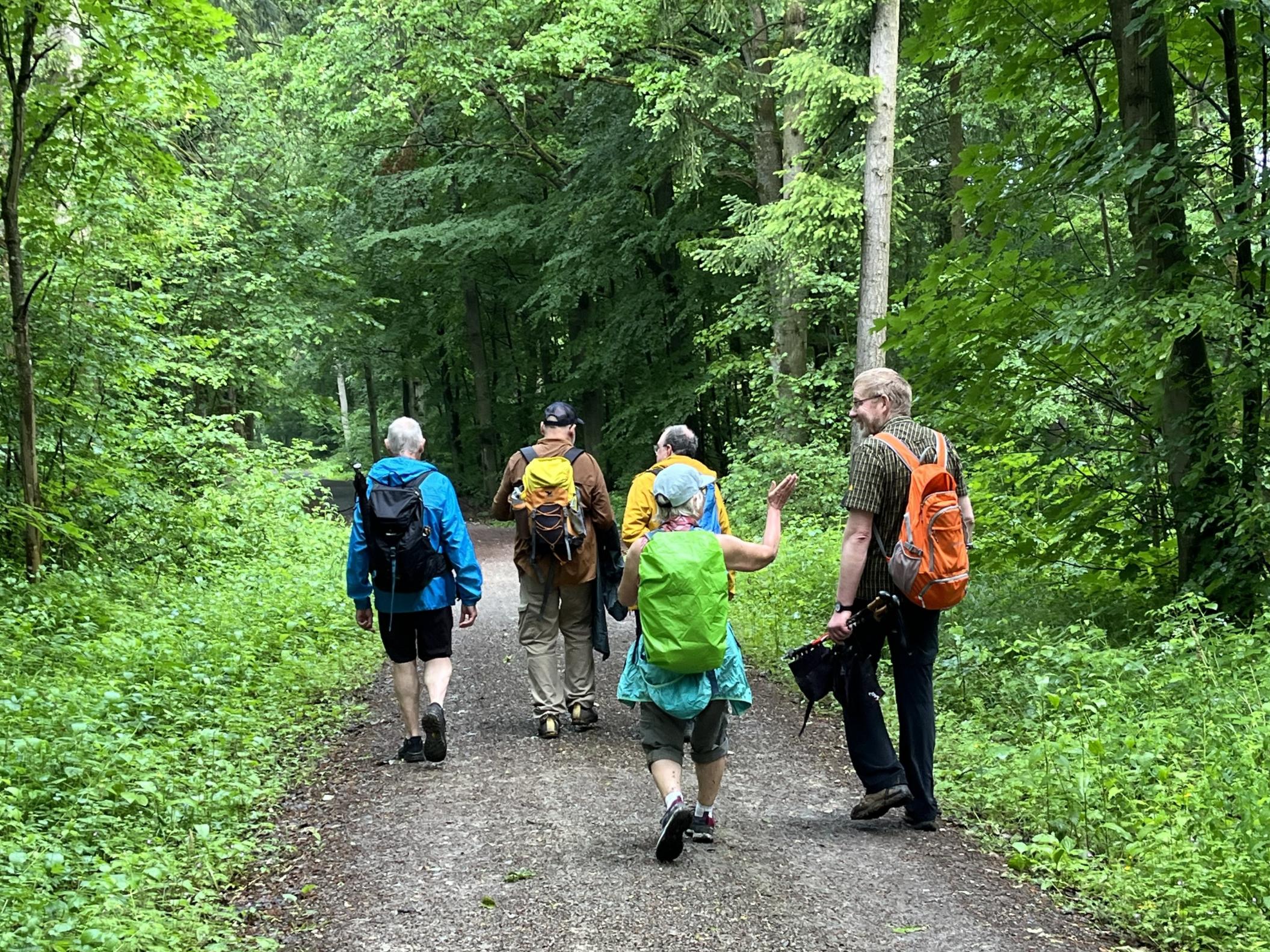 Wanderung auf dem Elisabethpfad