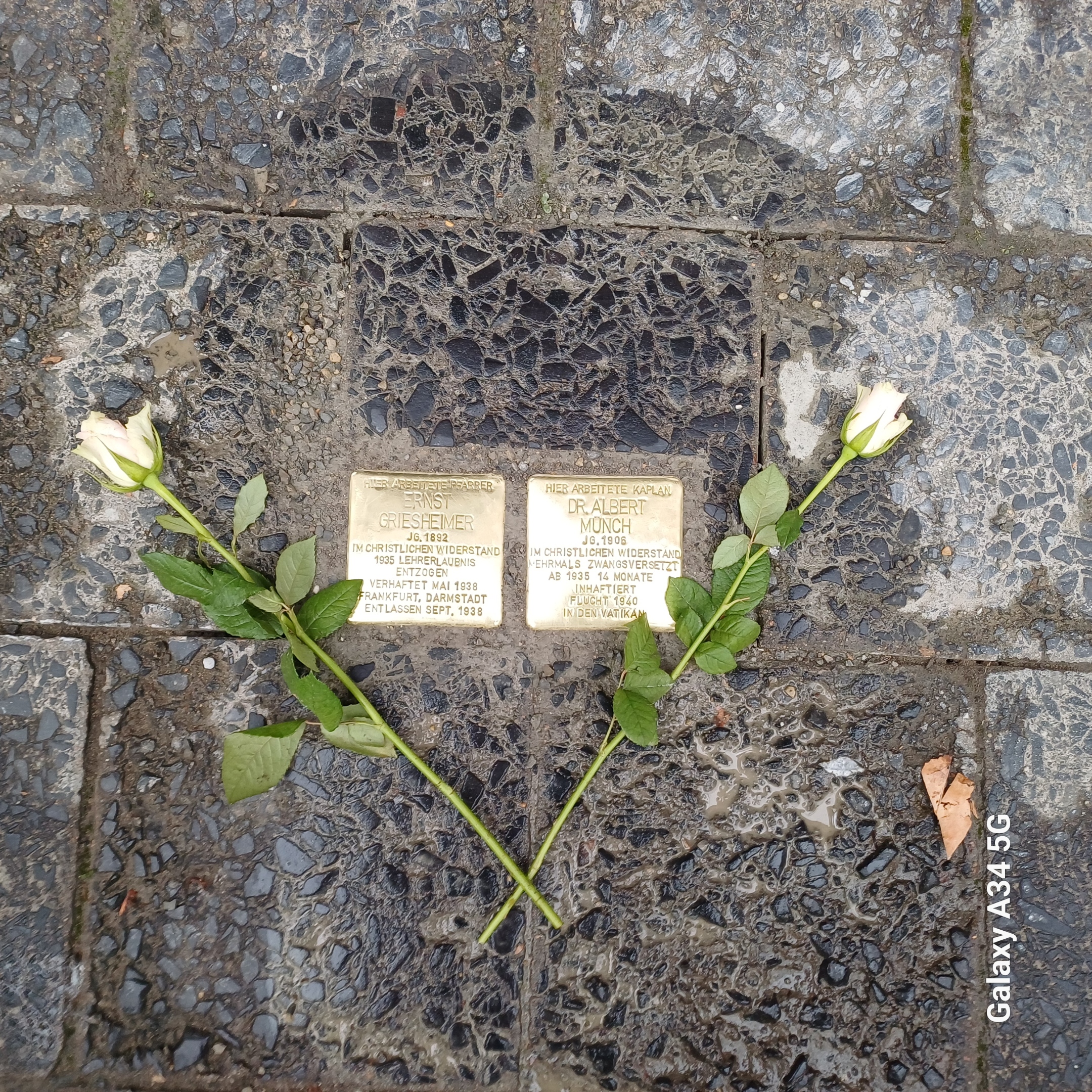 Stolpersteine vor St. Paul für Pfarrer Griesheimer und Kaplan Münch