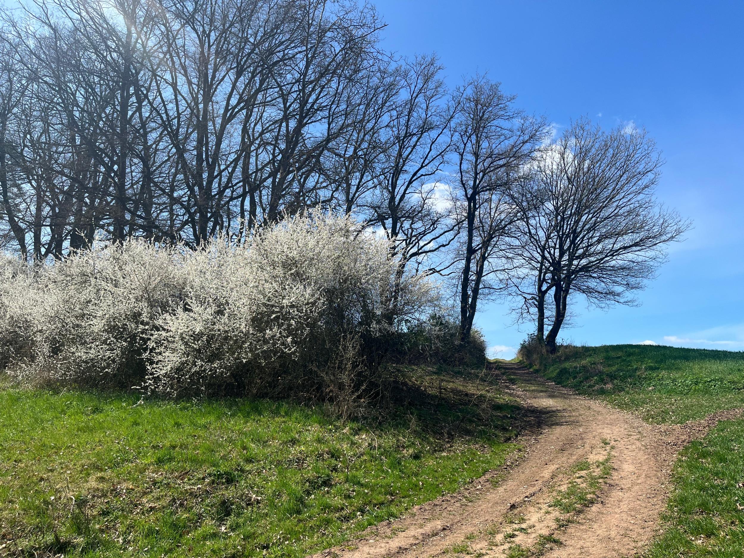 IMG_4519_c_Aegidius-Kluth.jpg_250975048