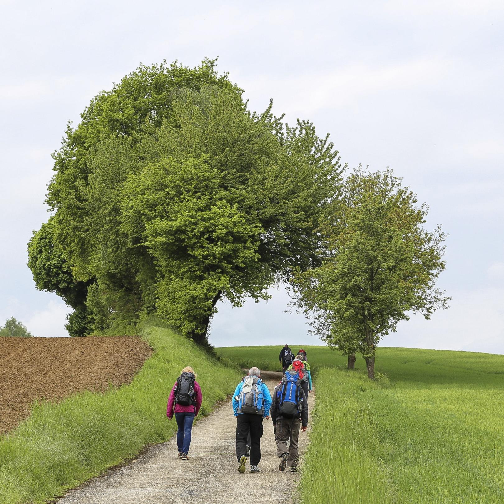 Wanderung mit Impulsen