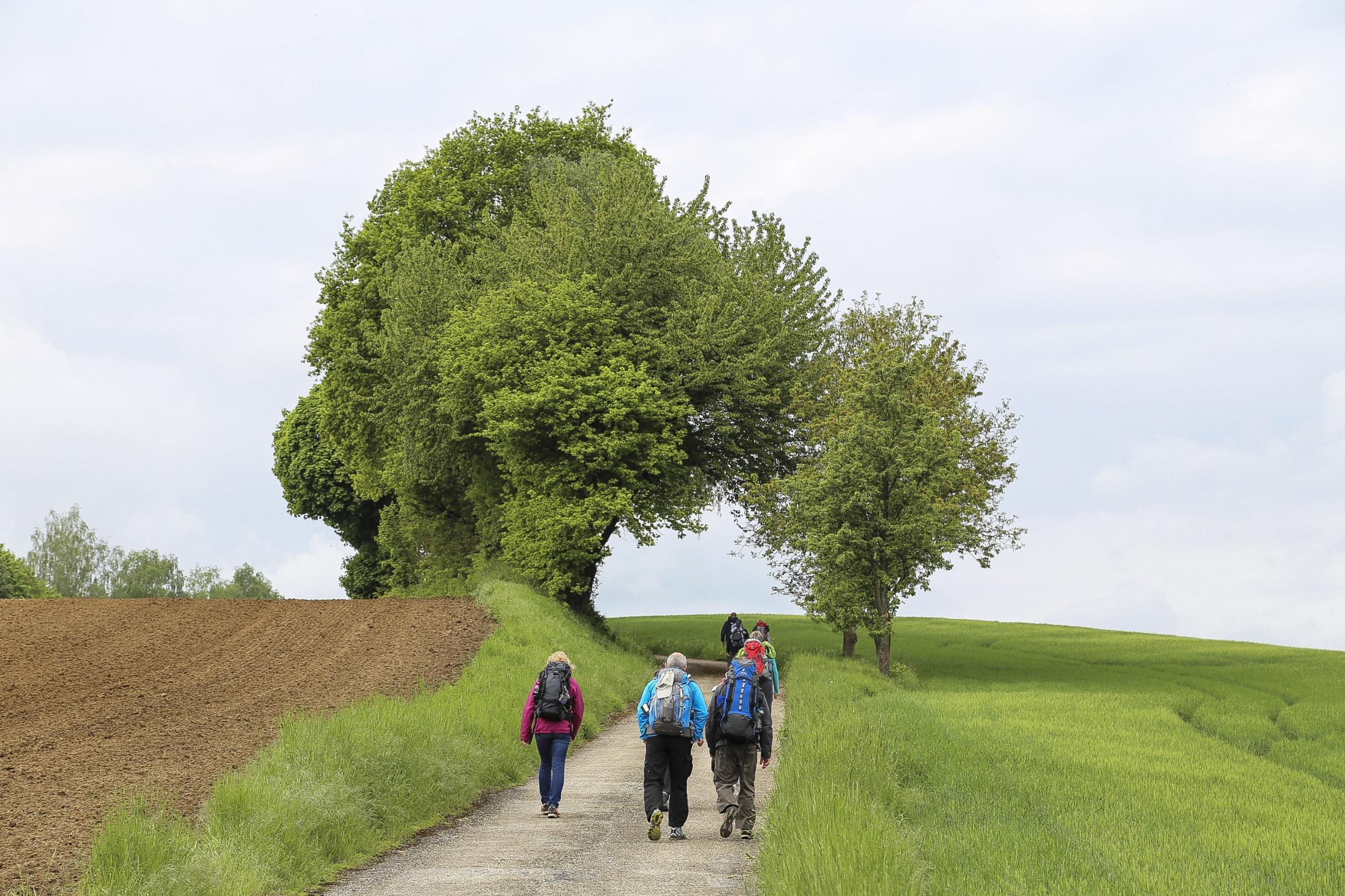 Wanderung mit Impulsen