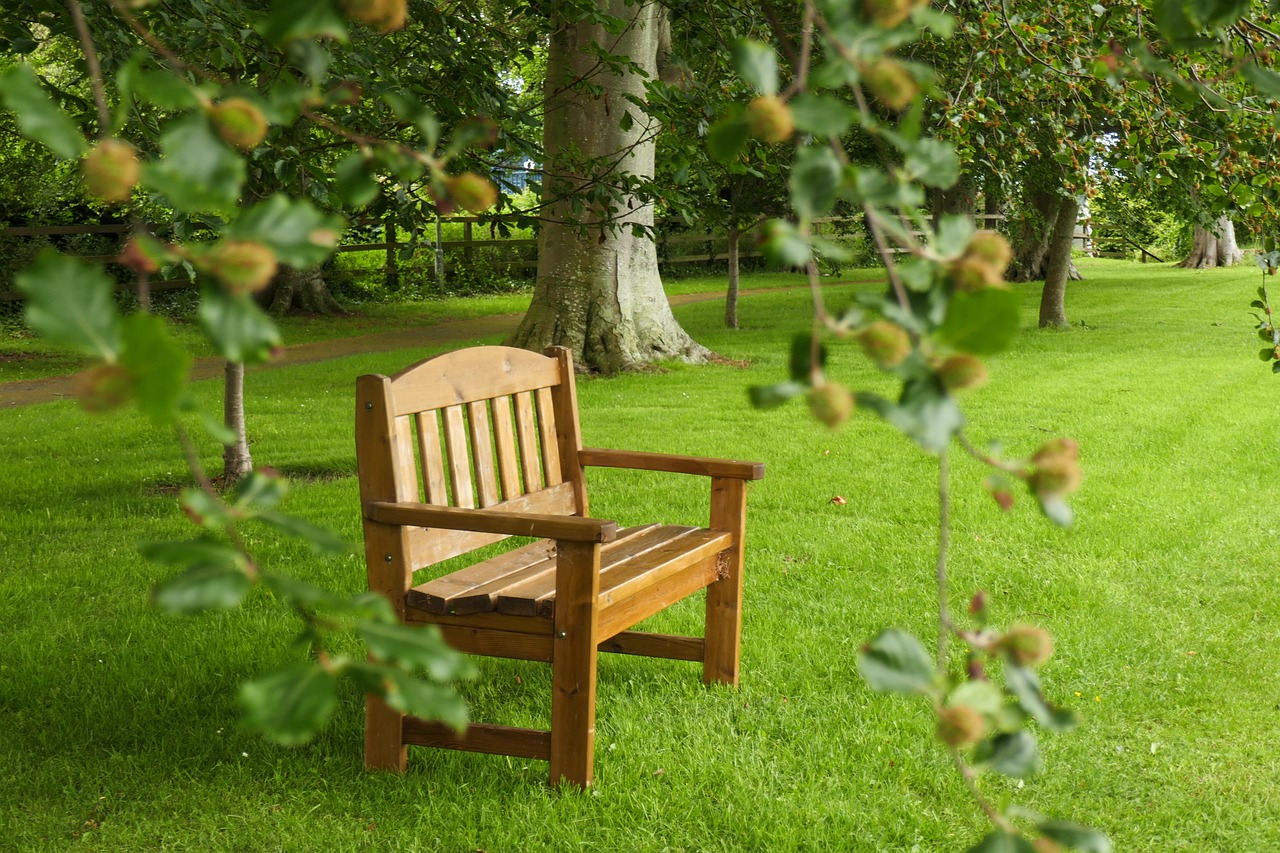 ginigeo_photography-relax-4820985_1280