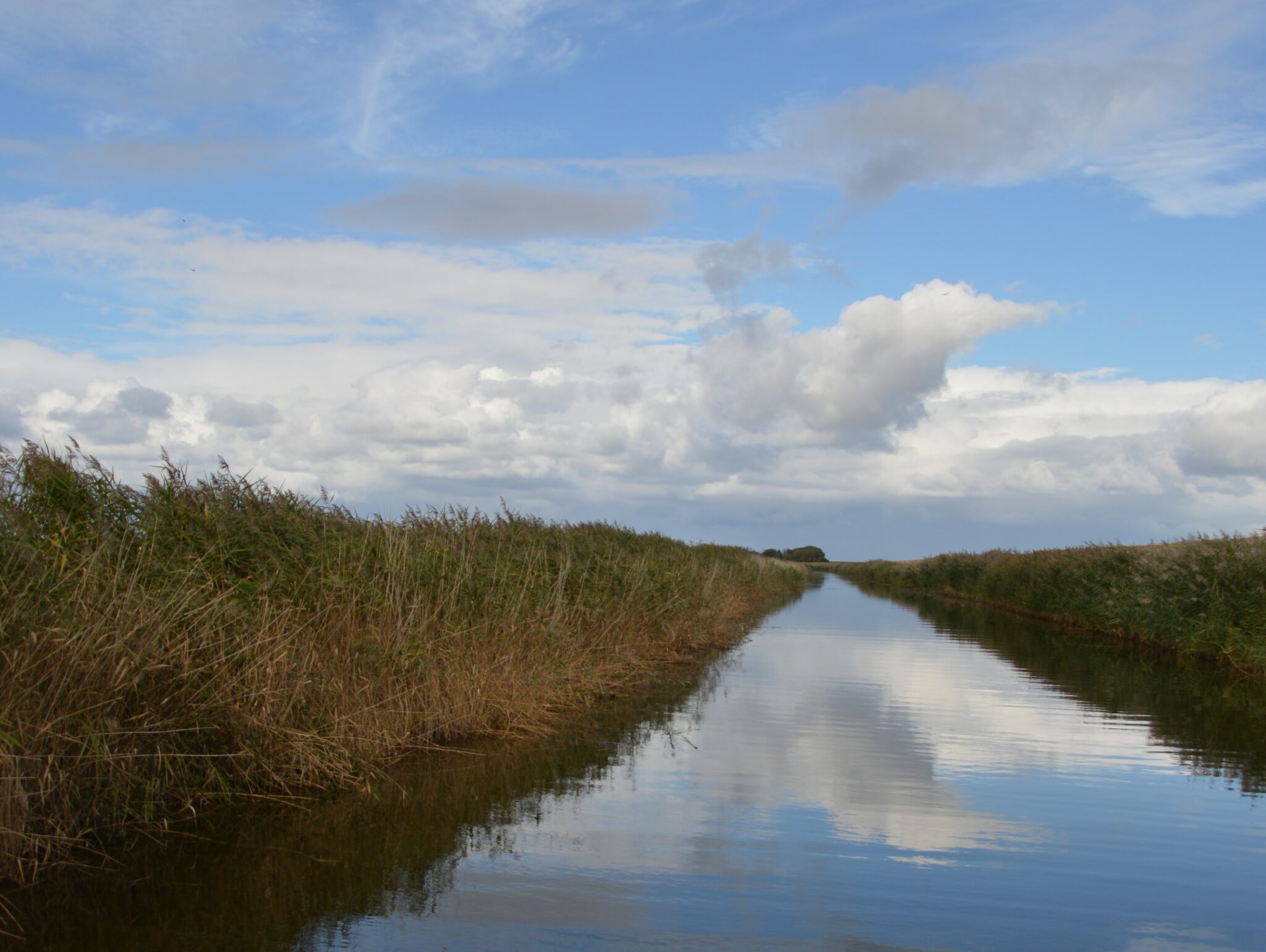 DSC_2242-2-2048x1541