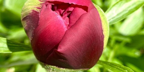 img_6156_by_Sylvio_Krueger_pfarrbriefservice