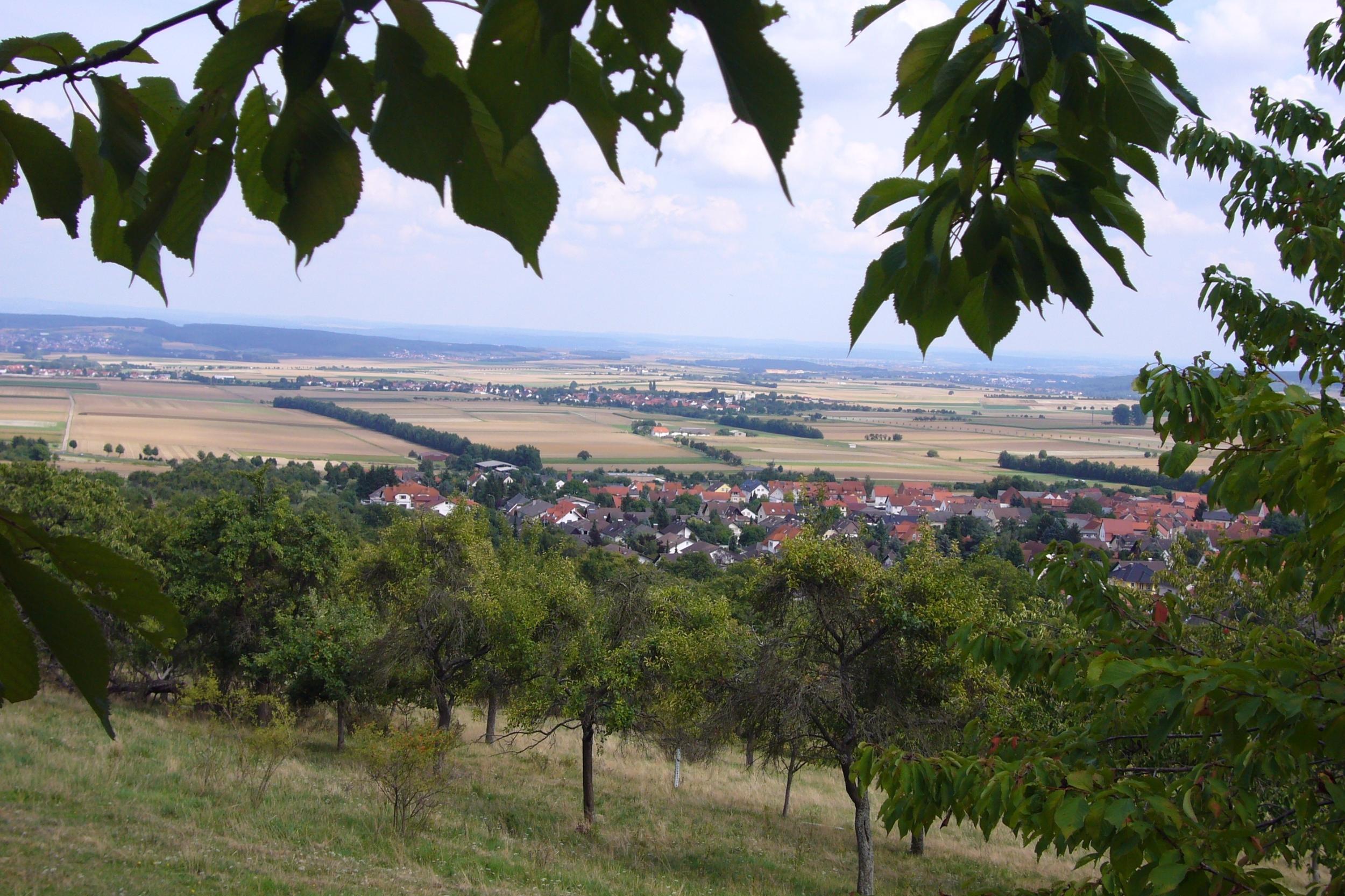 Blick über die Wetterau: über Getreidefelder begrenzt mit Hecken und Alleen, Dörfer und Wälder.