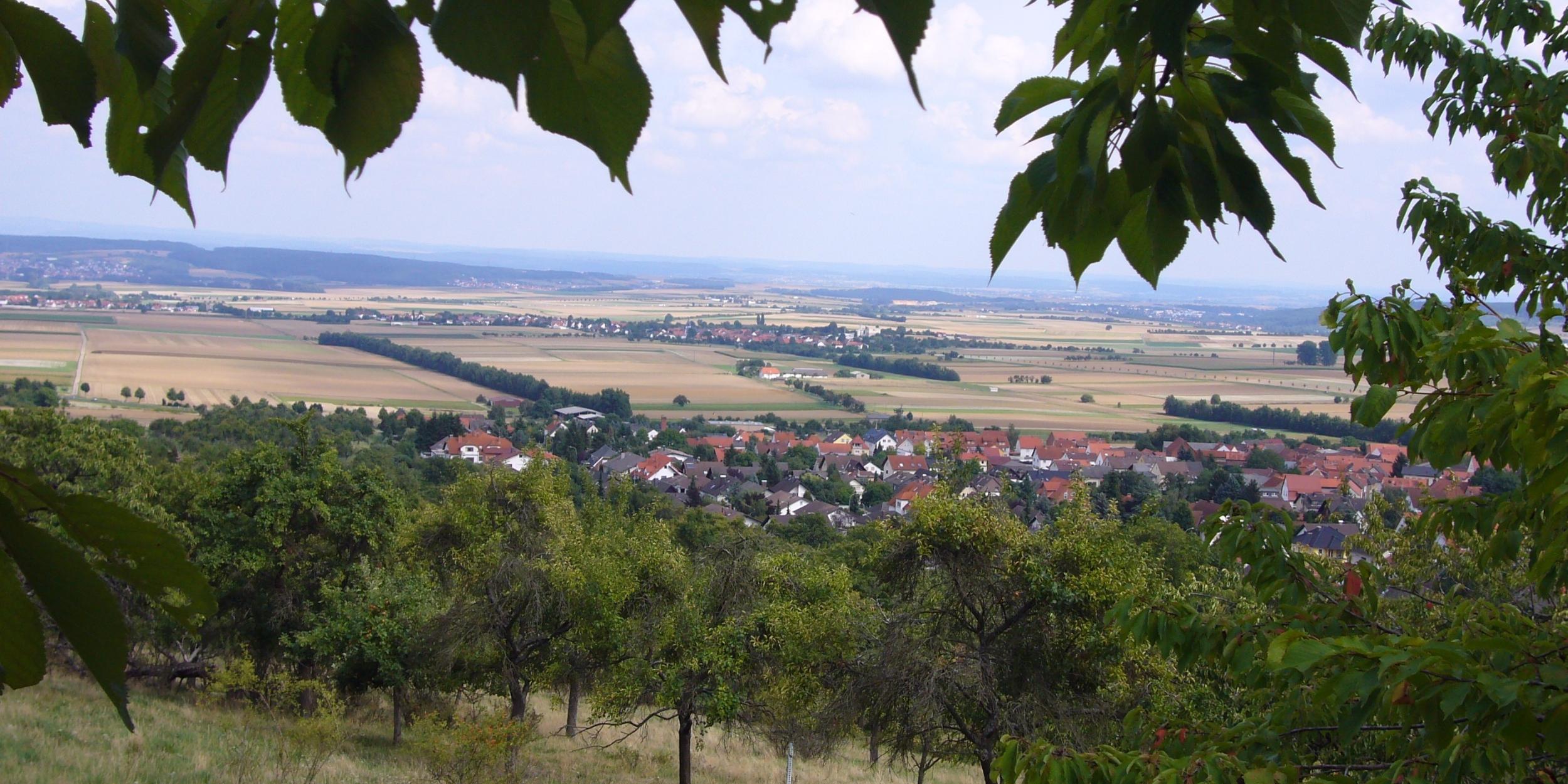 Blick über die Wetterau: über Getreidefelder begrenzt mit Hecken und Alleen, Dörfer und Wälder.