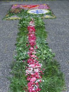 Ein buntes Bild aus Blüten und Blättern.