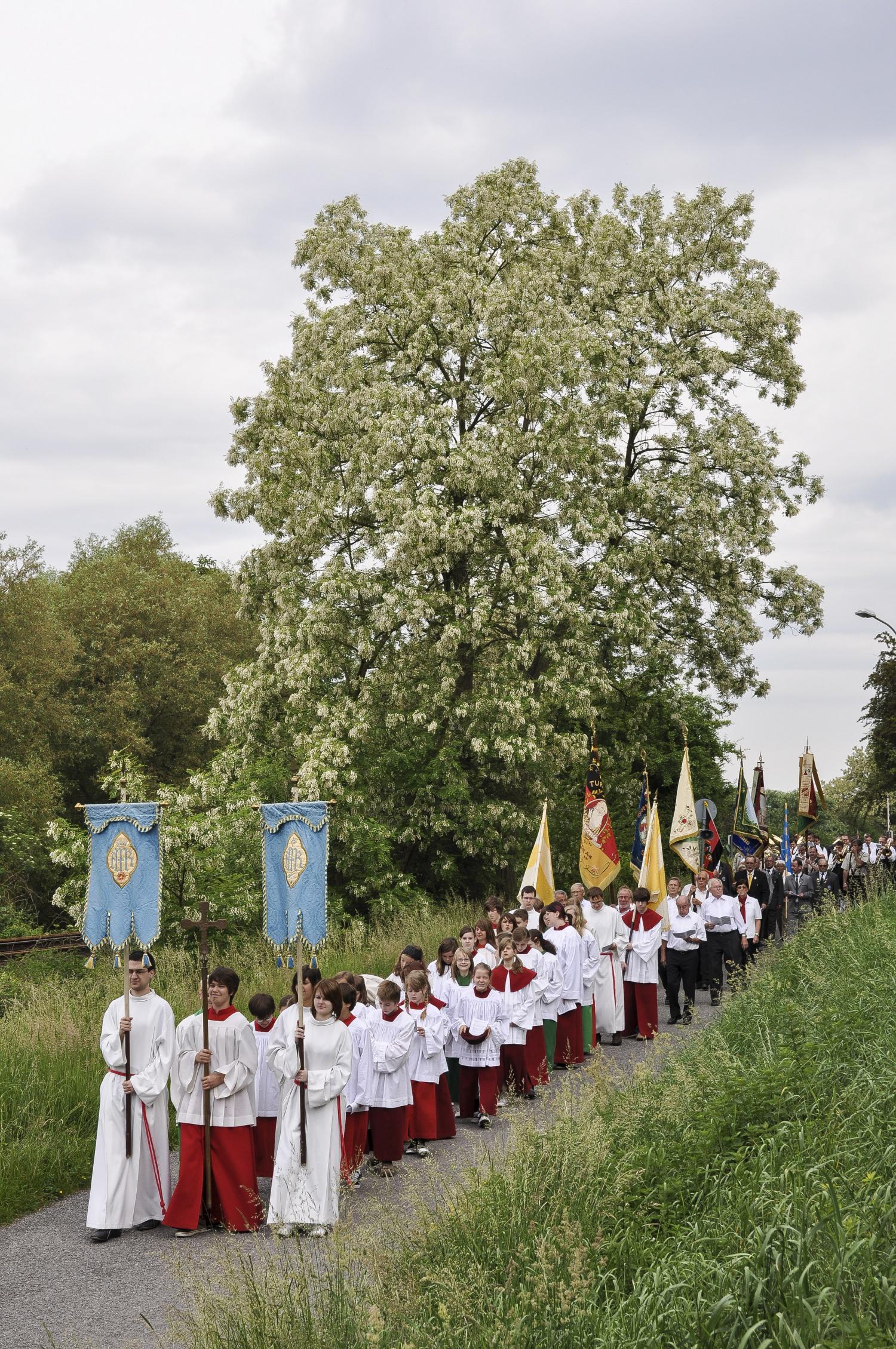 Kirchliche Prozession mit Fahnen und Messdienern