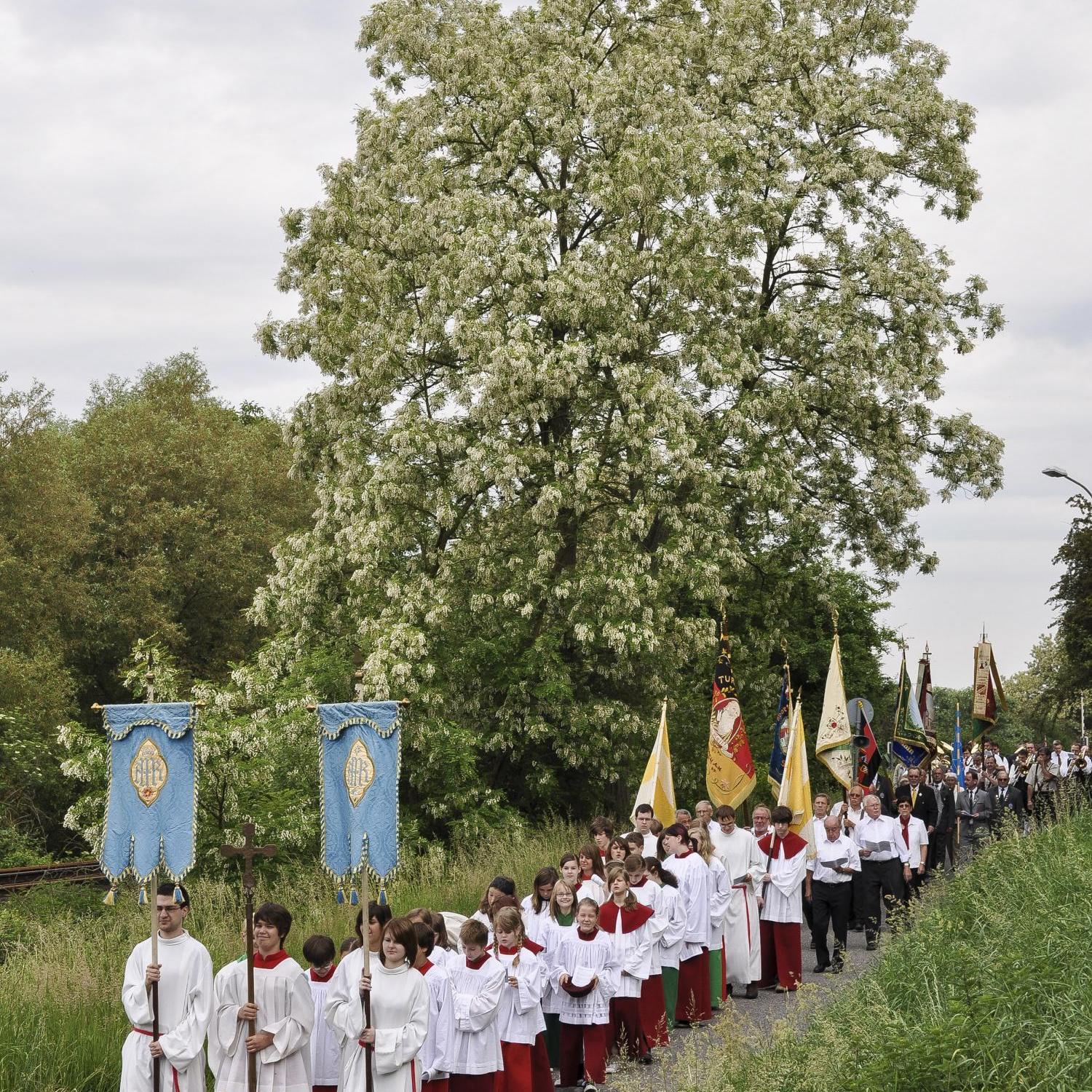 Kirchliche Prozession mit Fahnen und Messdienern