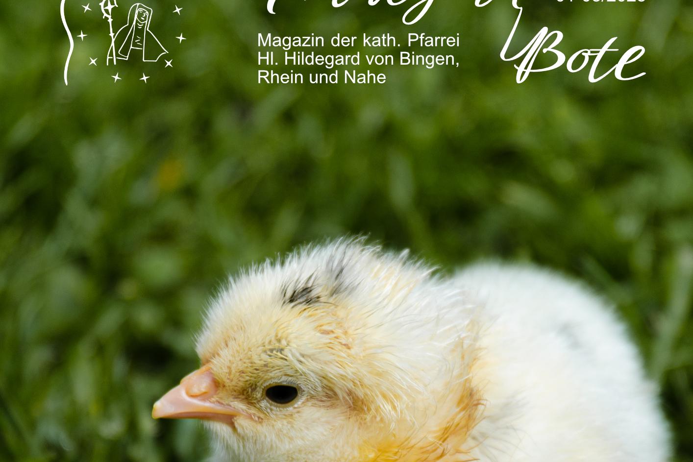 Cover HildegardBote 2025-01