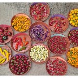 verschiedene Pflanzen und Gemüsesorten