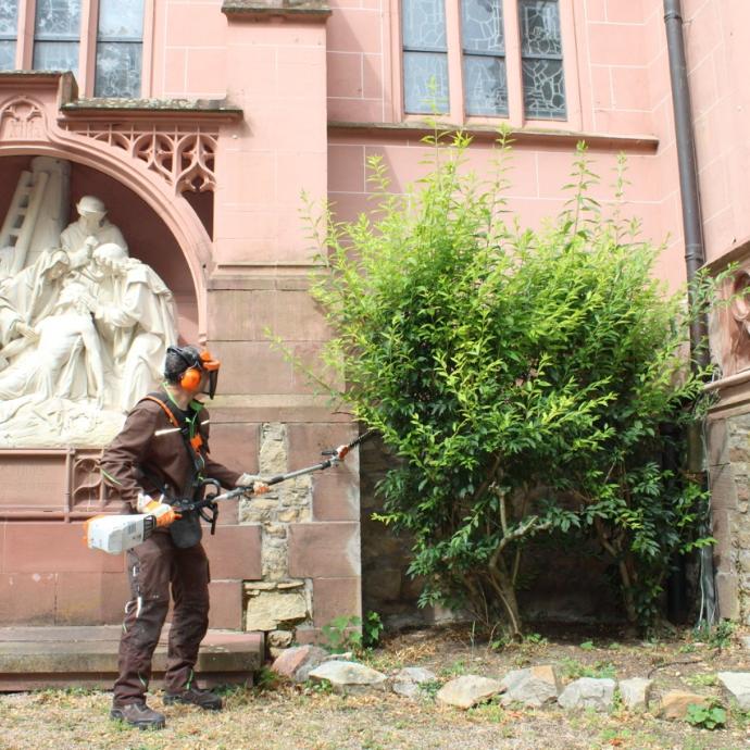 Caritas aktiv St. Antonius
